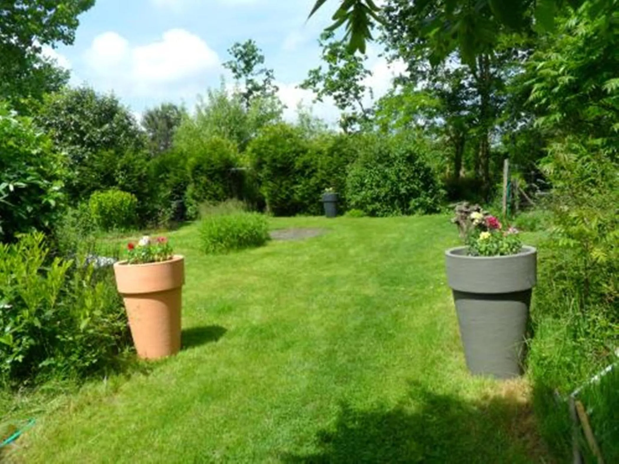 Garden in Chambres d'Hôtes La Turone