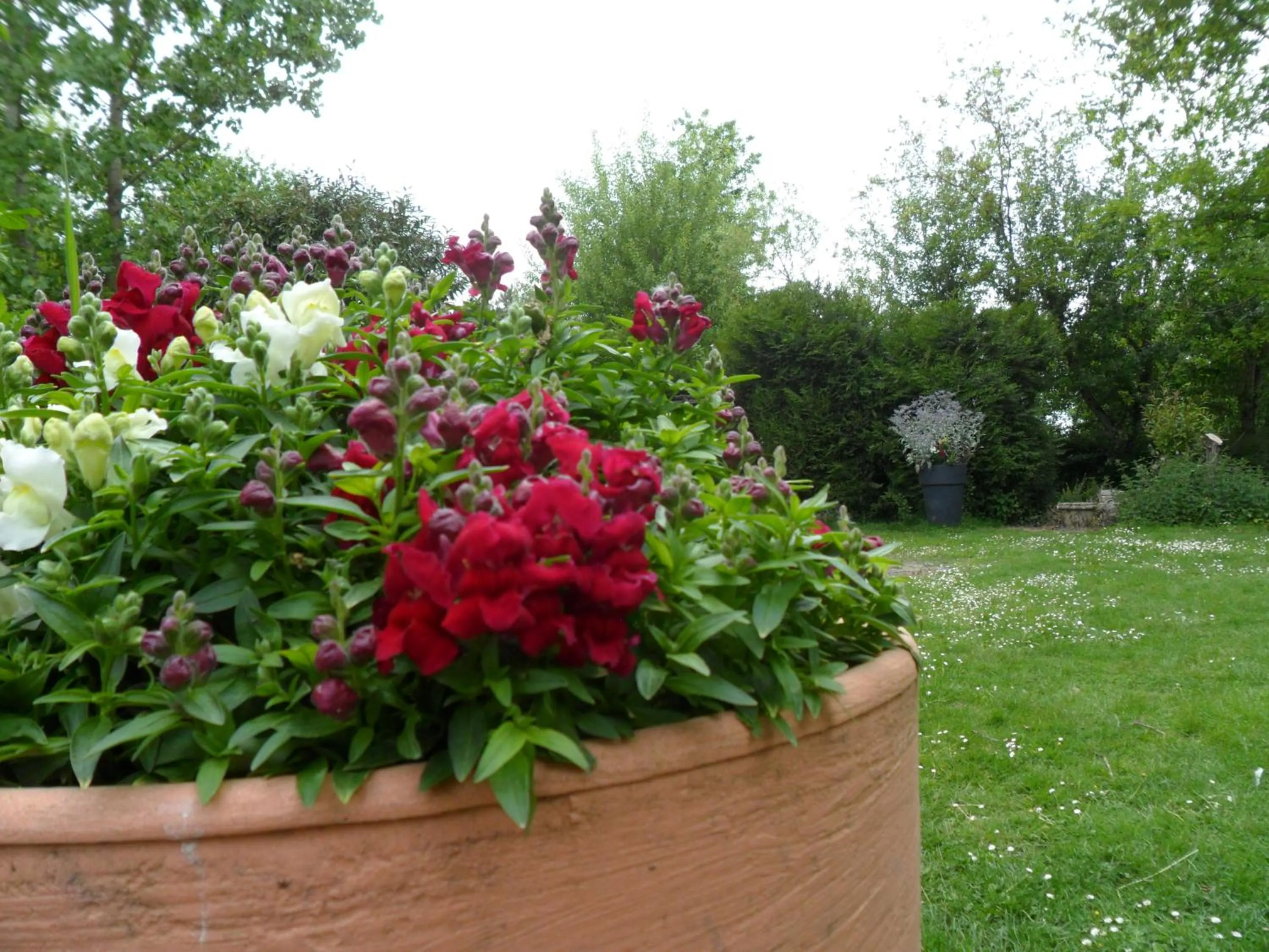 Garden in Chambres d'Hôtes La Turone