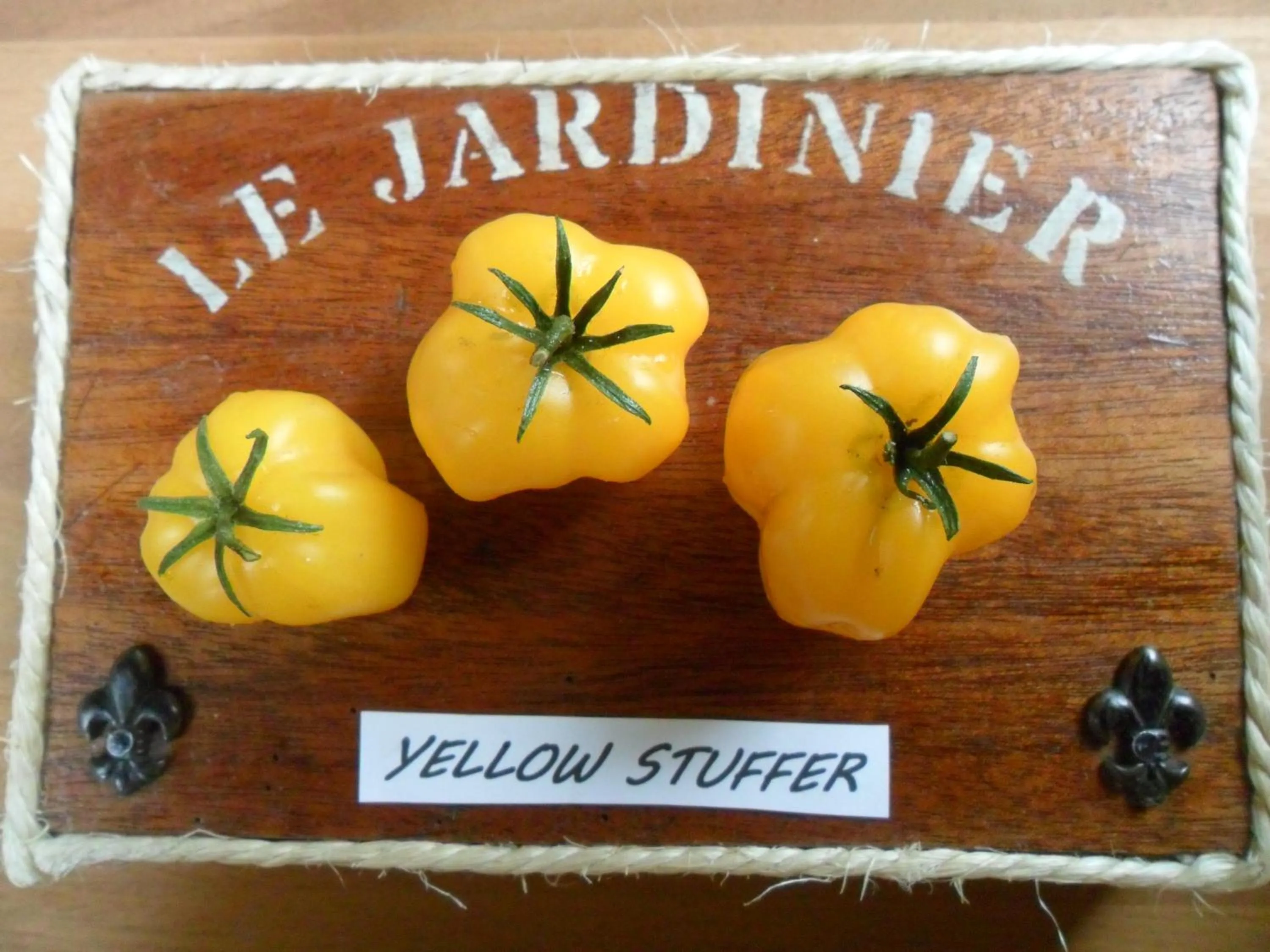 Garden in Chambres d'Hôtes La Turone