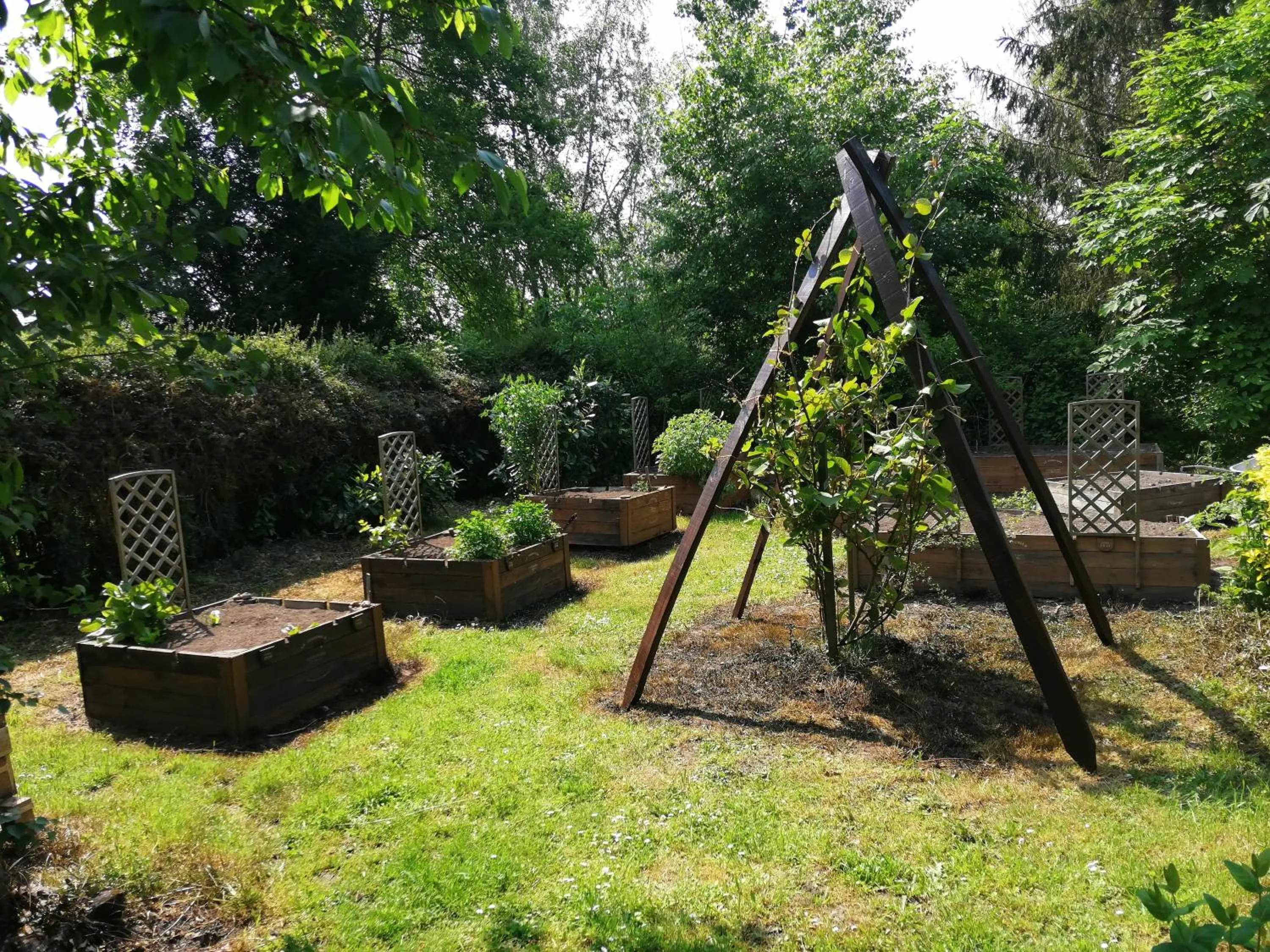 Chambres d'Hôtes La Turone