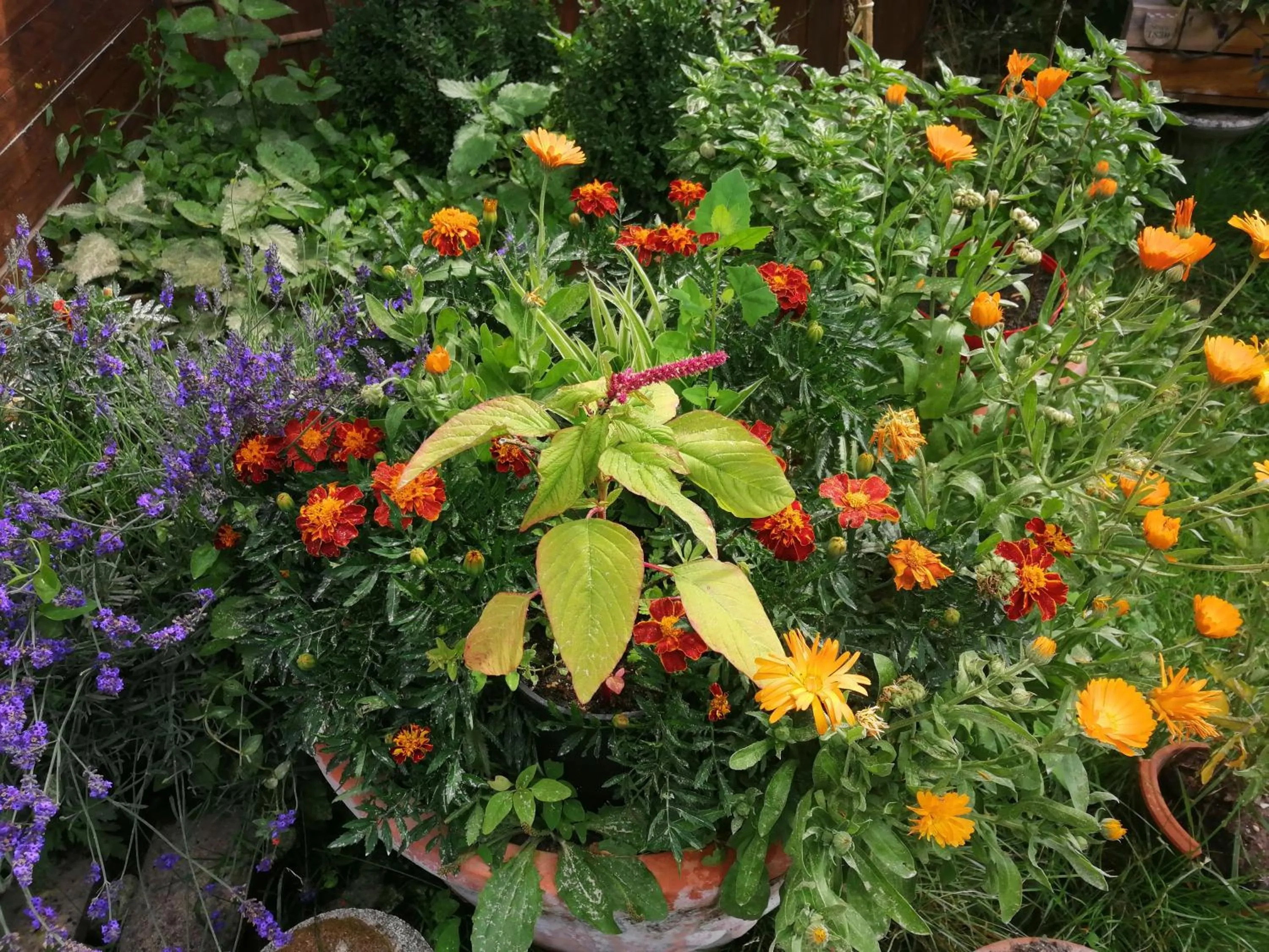 Chambres d'Hôtes La Turone