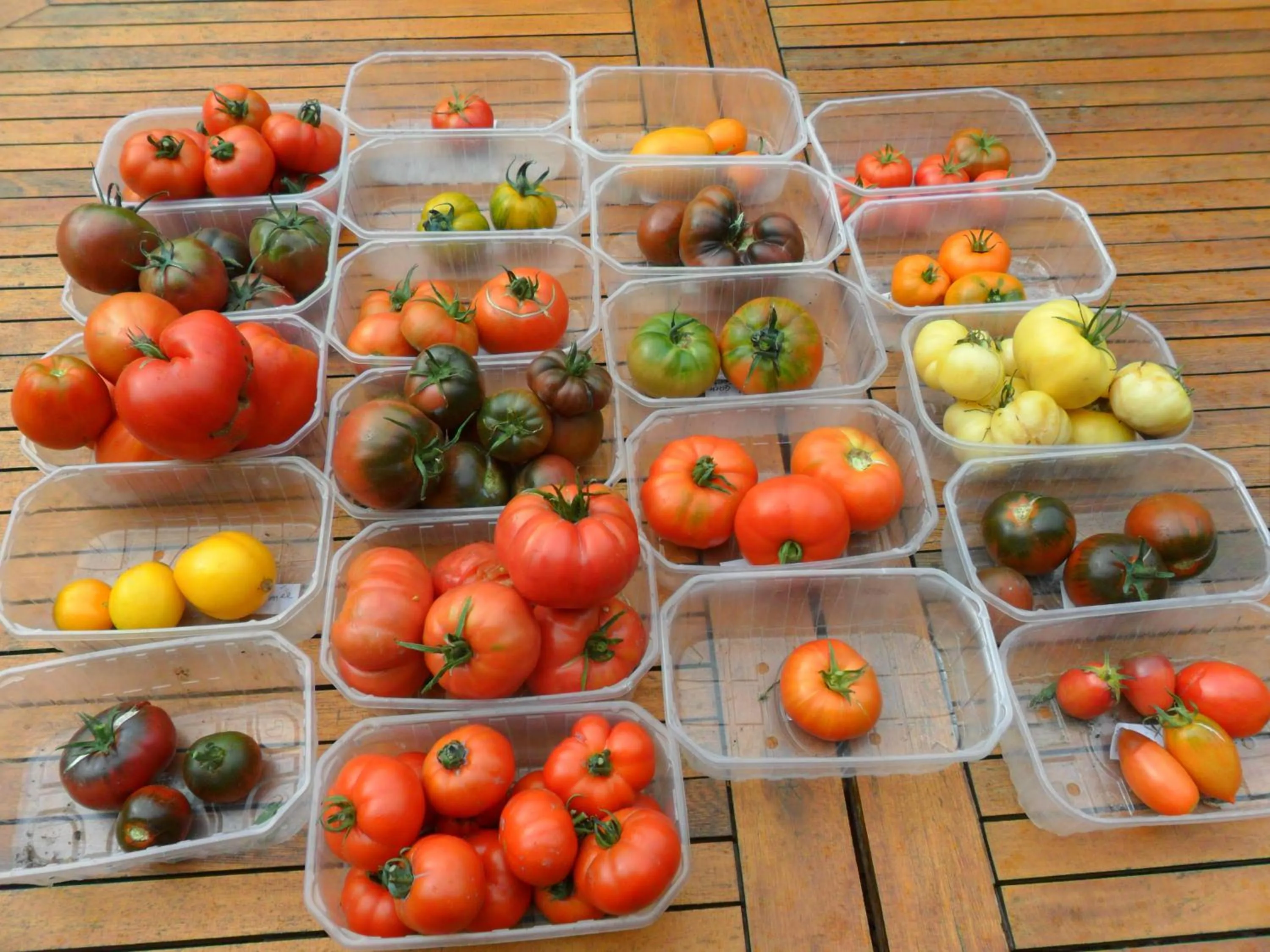 Dinner in Chambres d'Hôtes La Turone