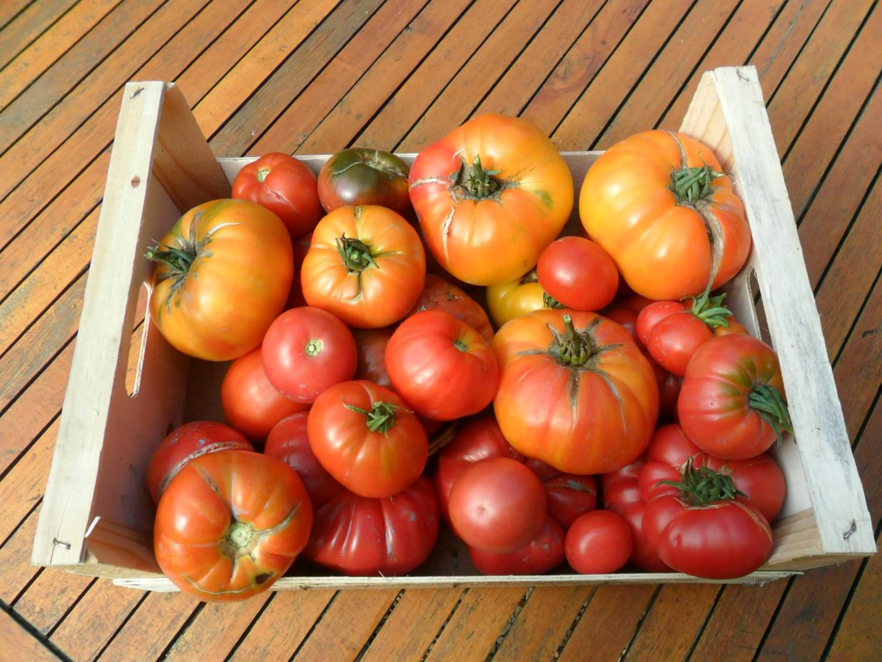 Chambres d'Hôtes La Turone