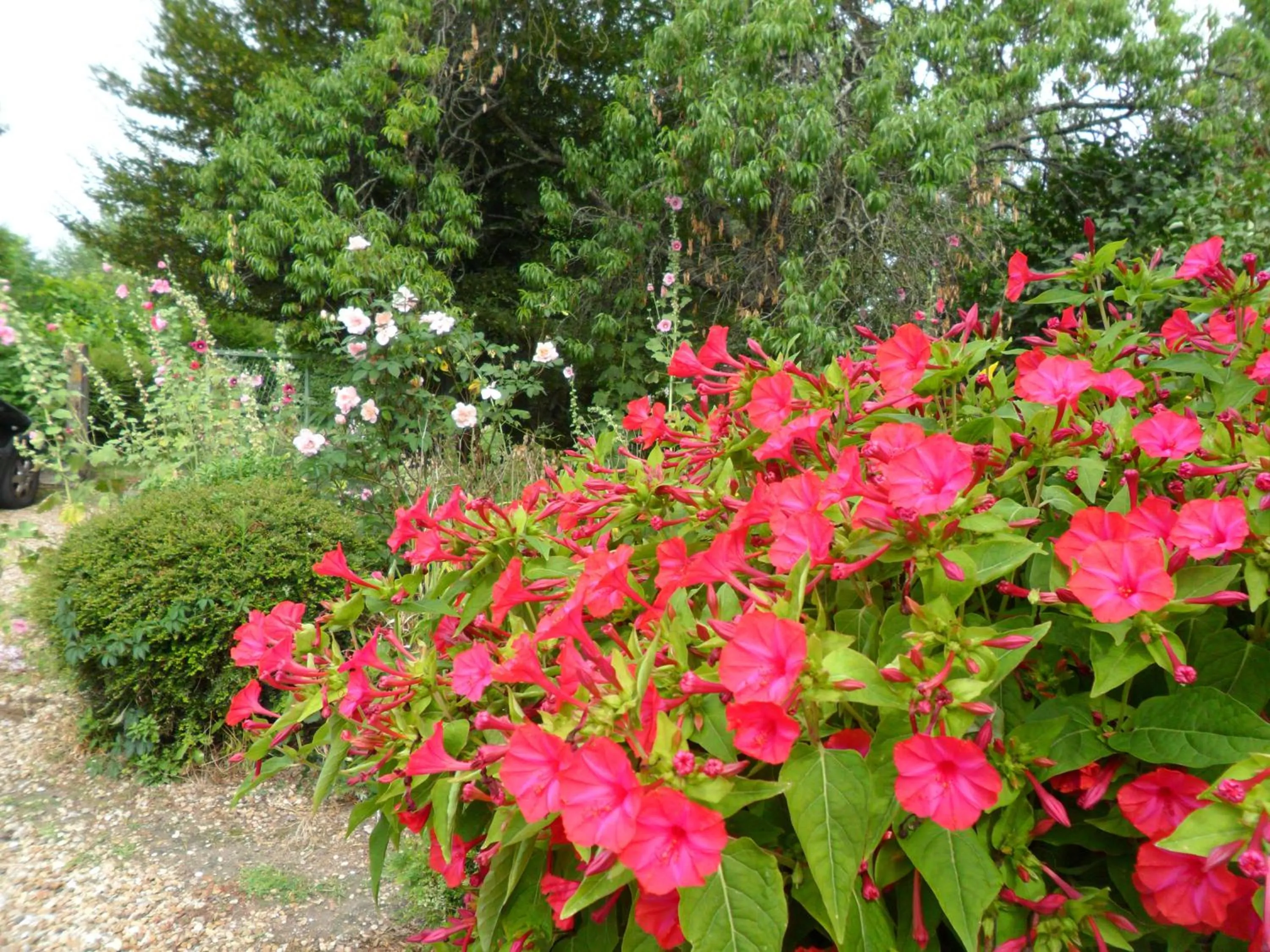 Summer in Chambres d'Hôtes La Turone