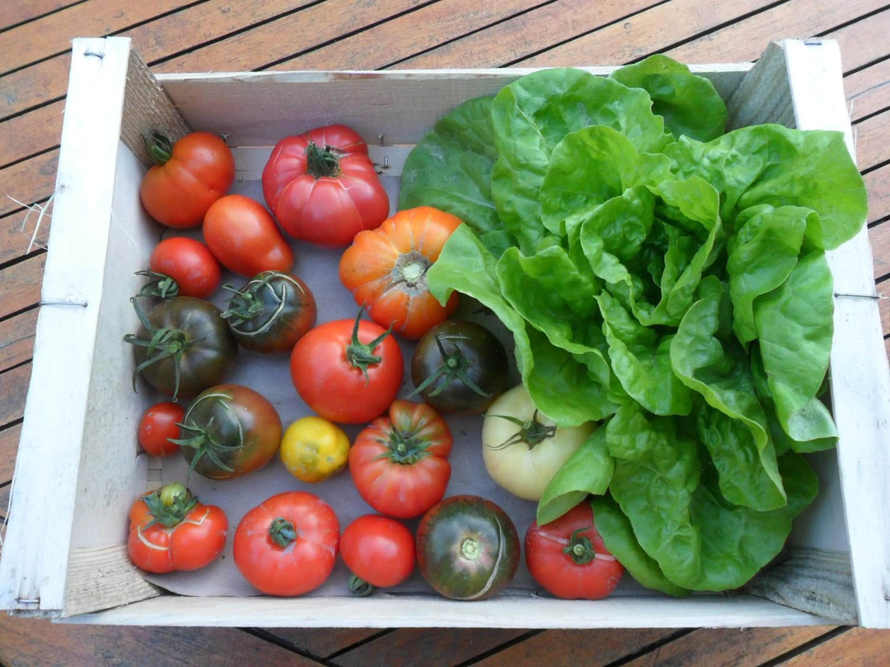 Garden in Chambres d'Hôtes La Turone