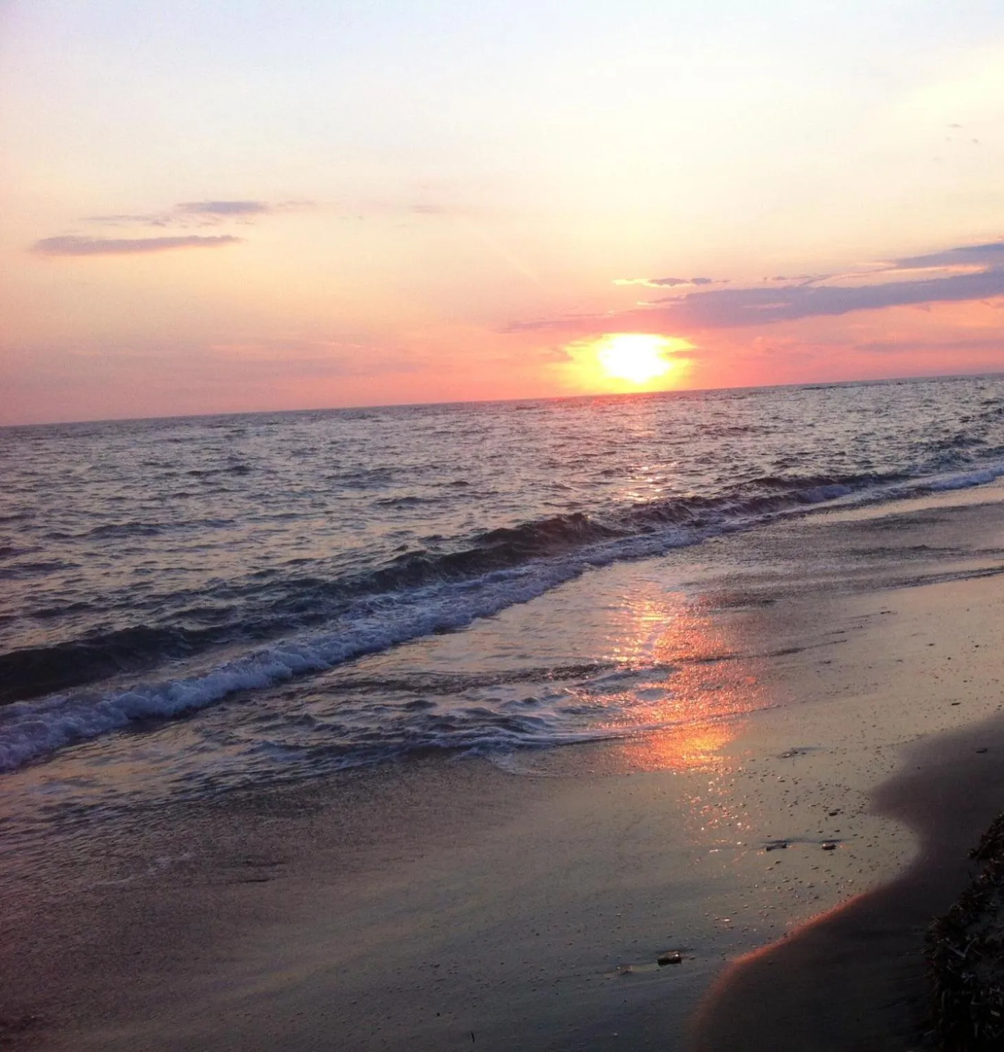 Natural landscape in Villa Pap