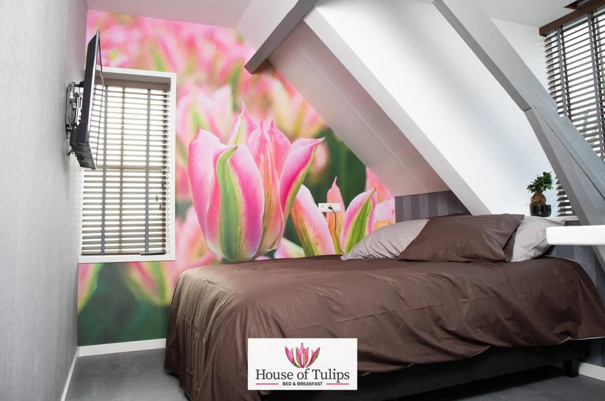 Bed in House of Tulips