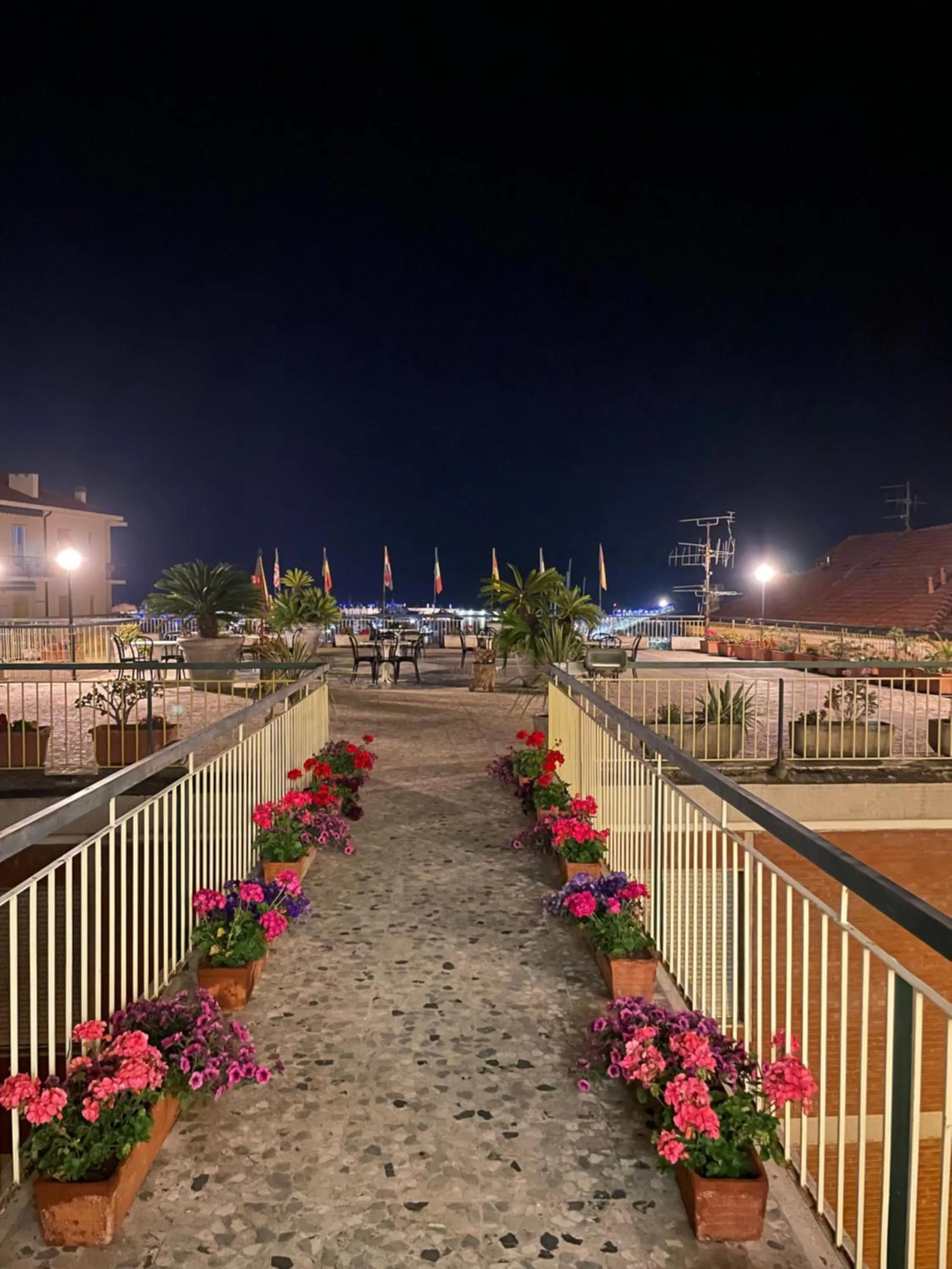 Balcony/Terrace in Hotel Robinia