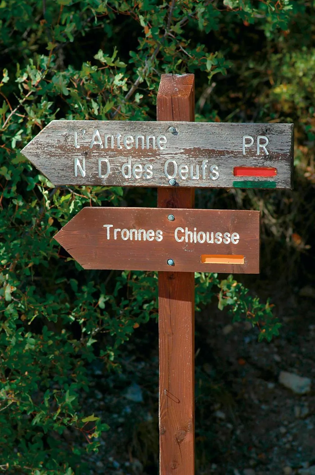 Area and facilities in Hôtel Spa Les Alpes