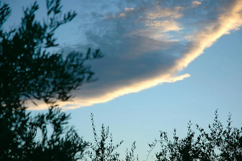 Area and facilities in Hôtel Spa Les Alpes