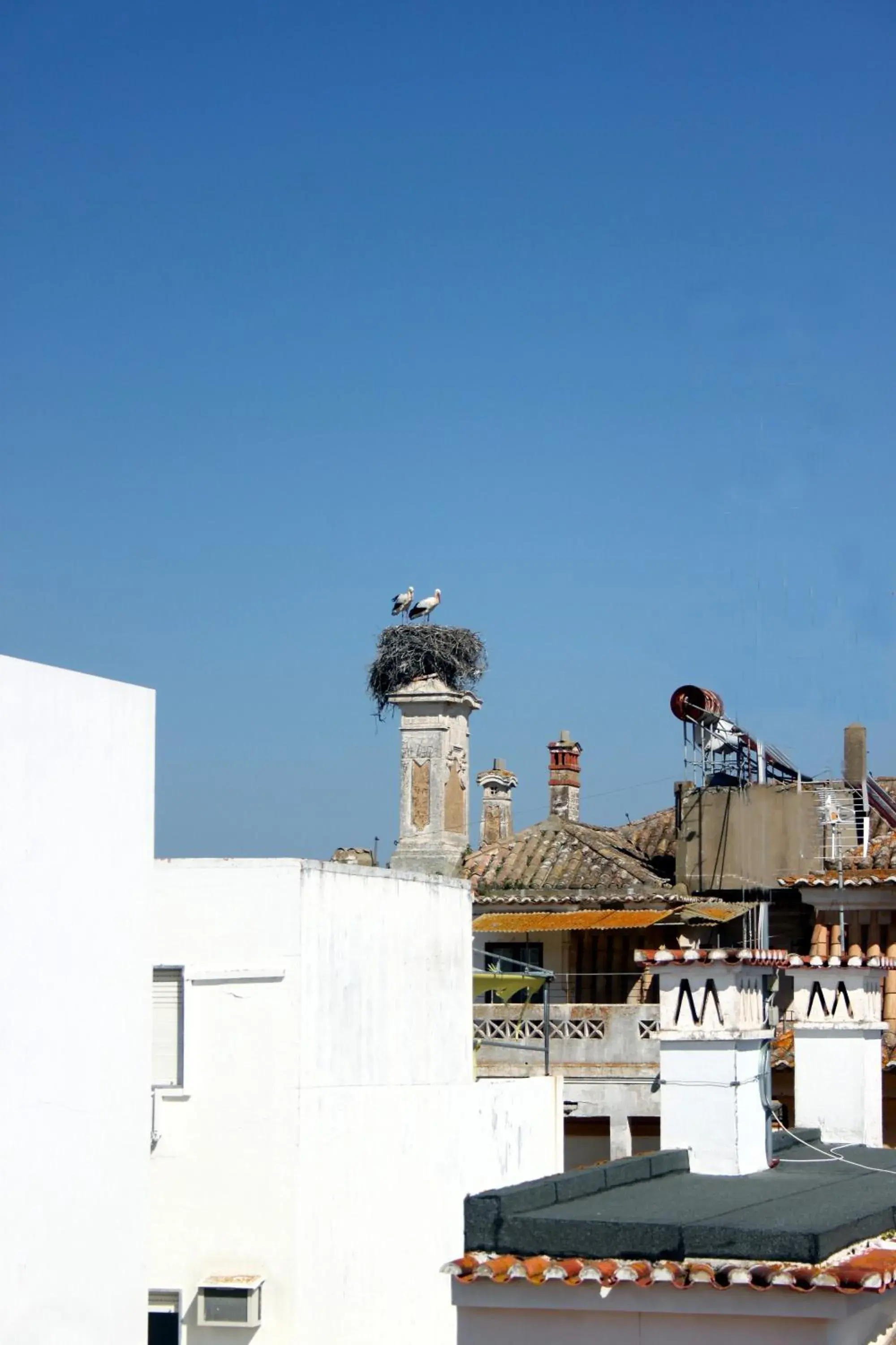 View (from property/room) in Villa Marquez View (from property/room) in Villa Marquez