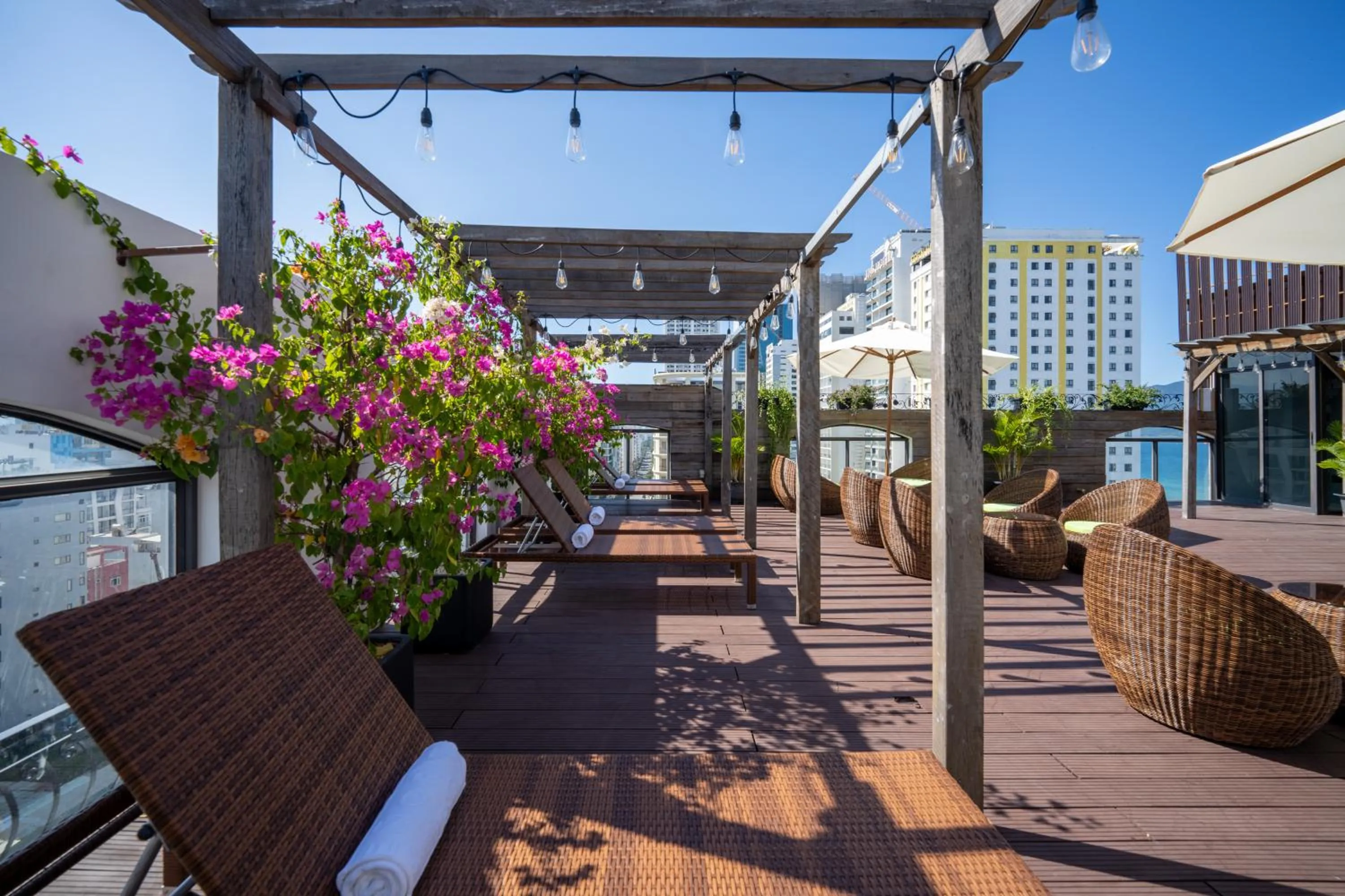 Garden in Señorita Boutique Hotel