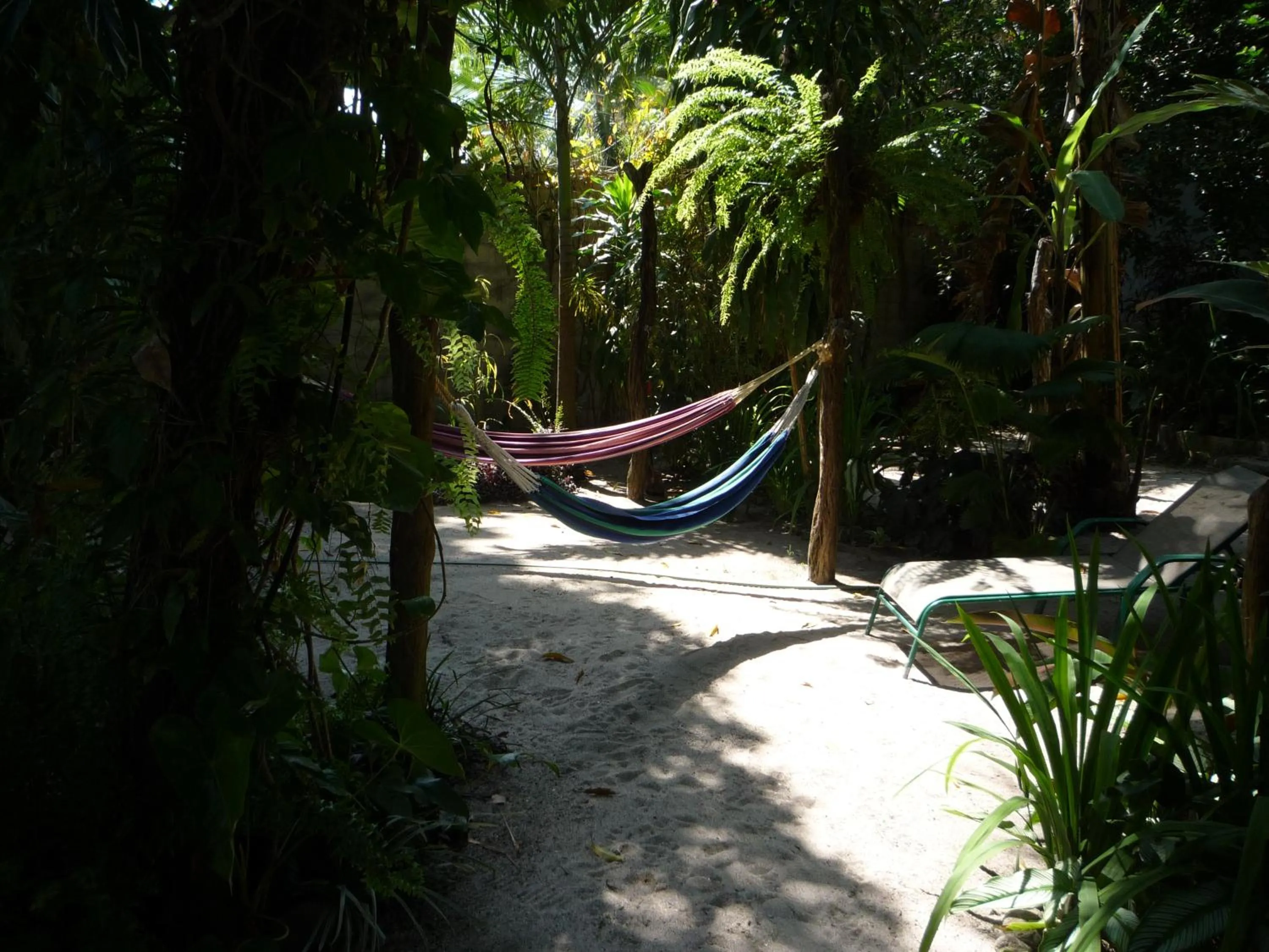 Garden view in Togo B&B Farallon