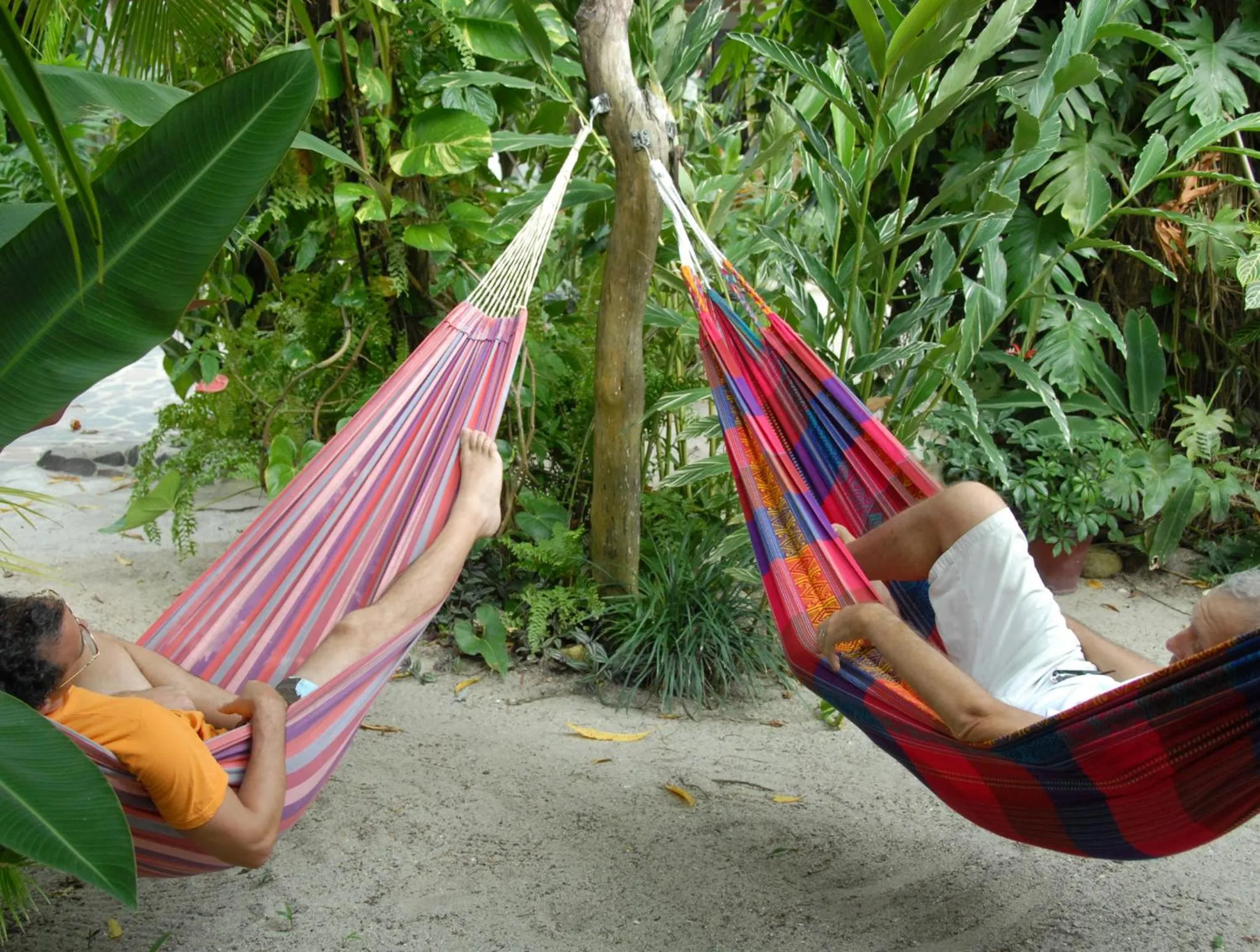 Garden view in Togo B&B Farallon