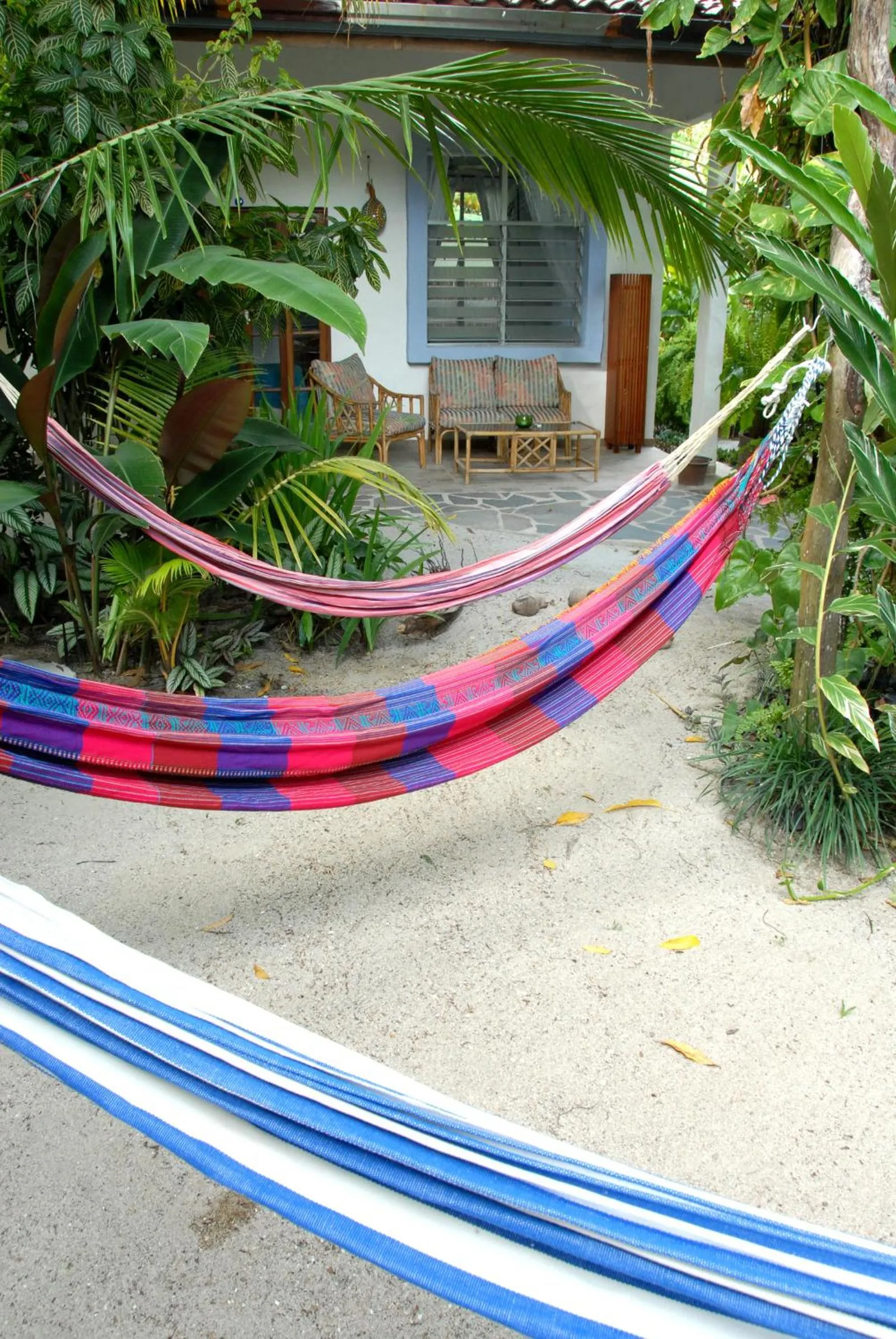 Garden view in Togo B&B Farallon