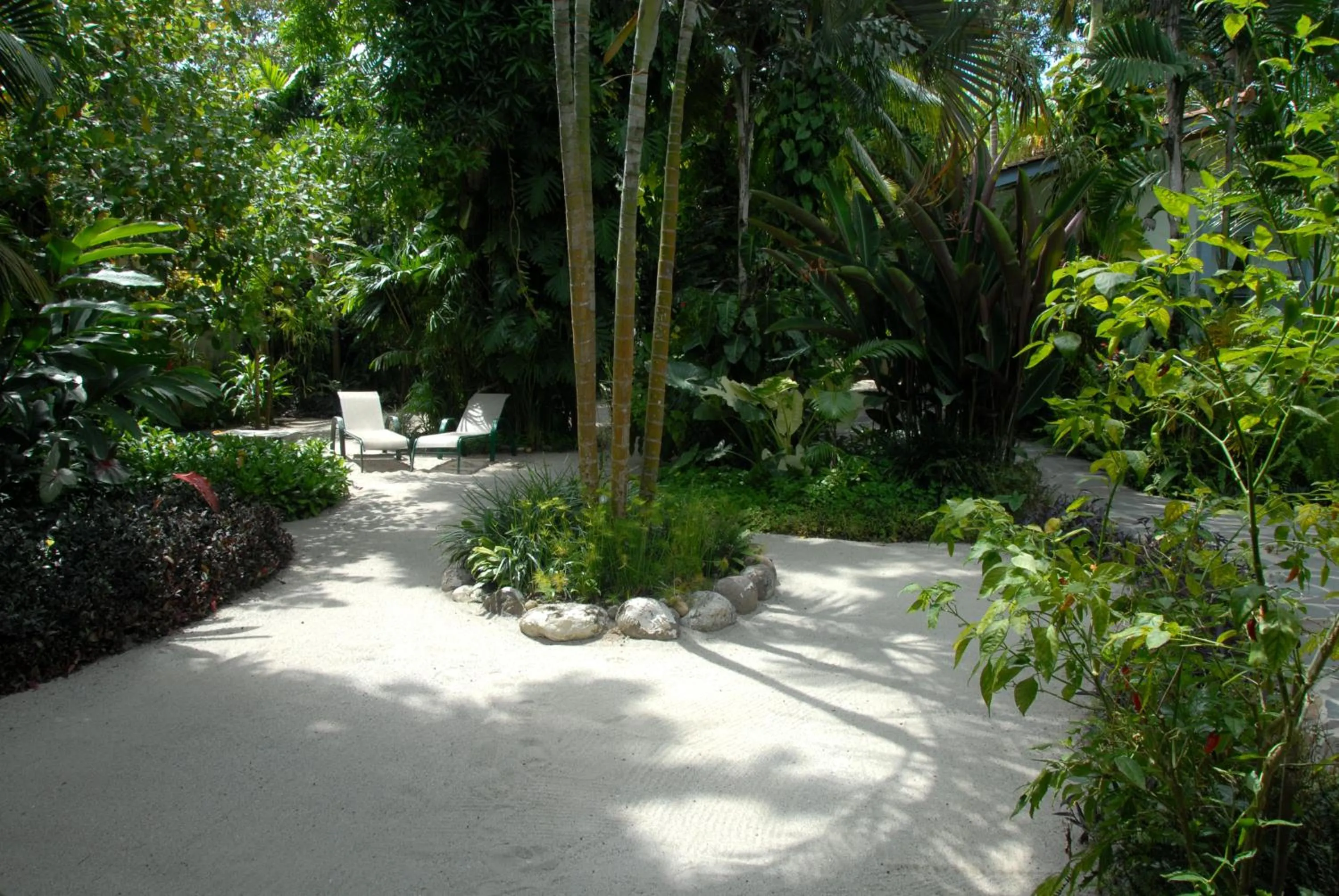 Garden in Togo B&B Farallon