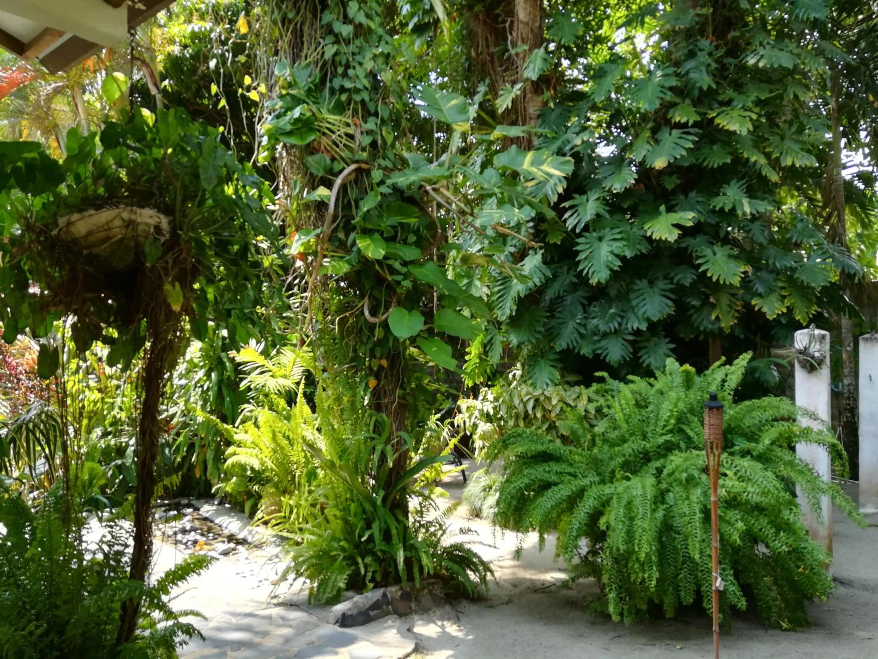 Garden in Togo B&B Farallon