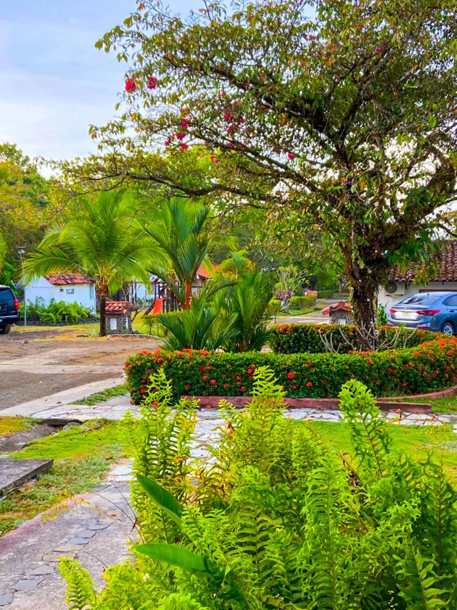 Natural landscape in Hotel Santa Catalina Panamá