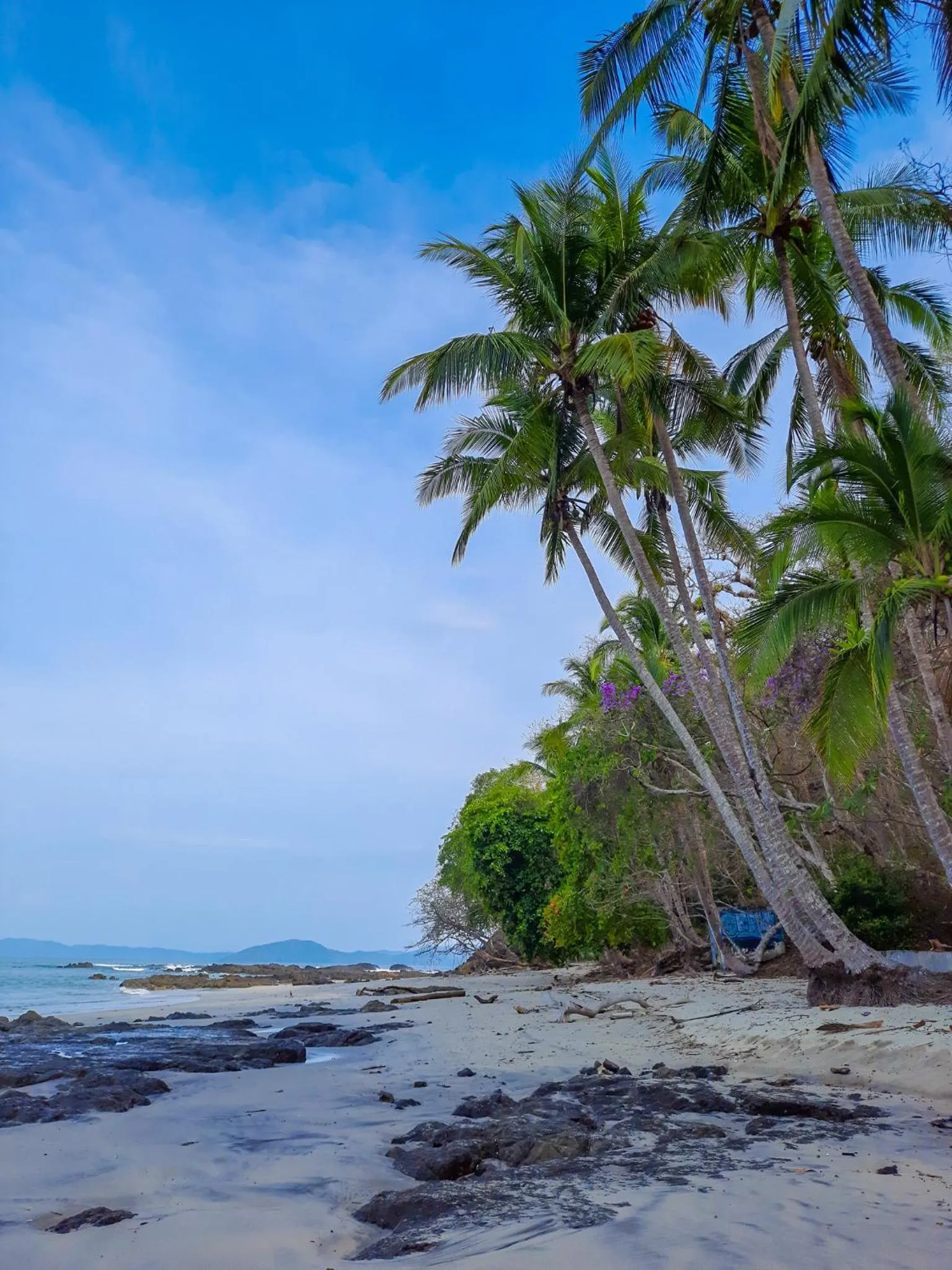 Natural landscape in Hotel Santa Catalina Panamá