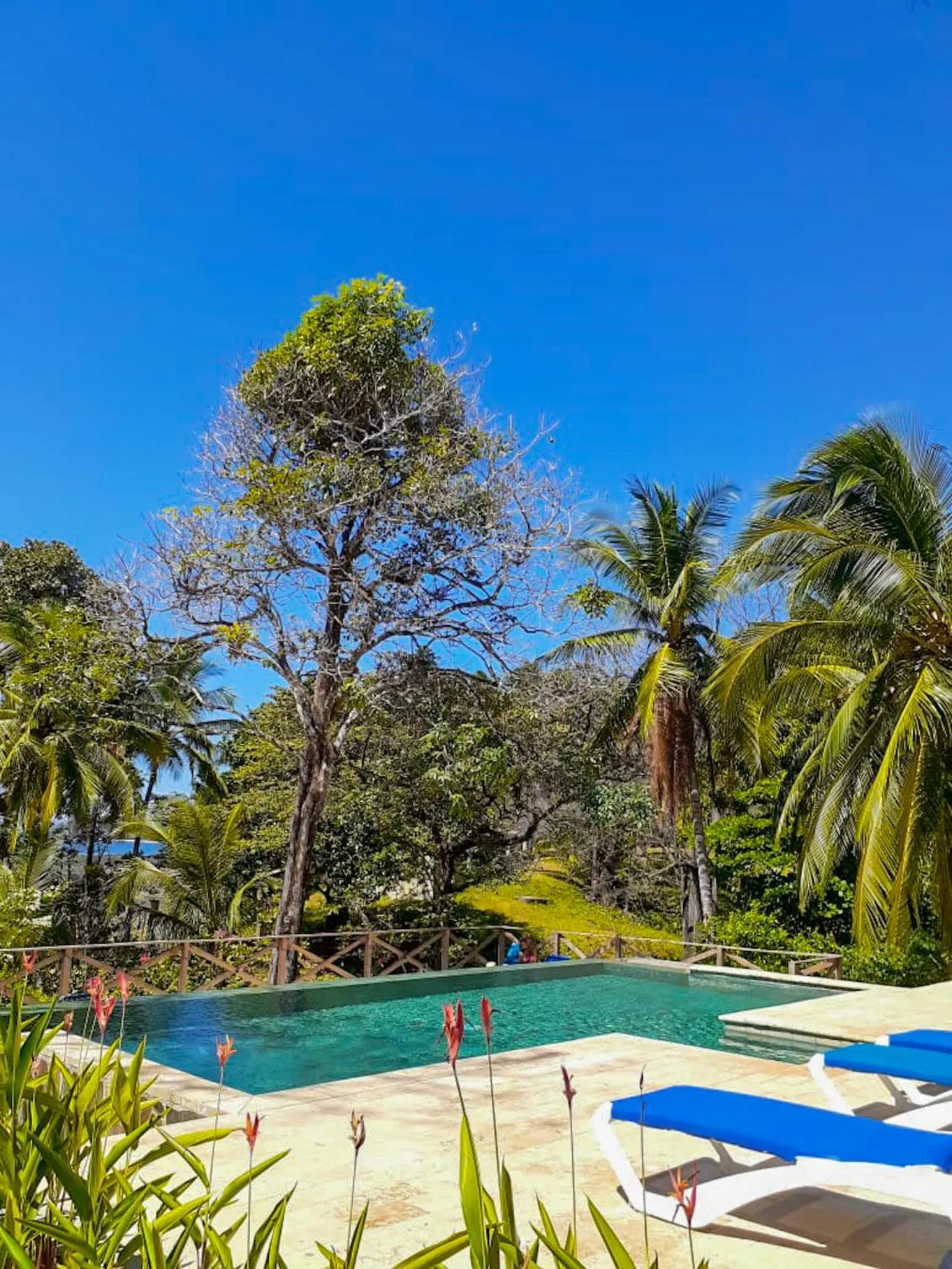 Pool view in Hotel Santa Catalina Panamá