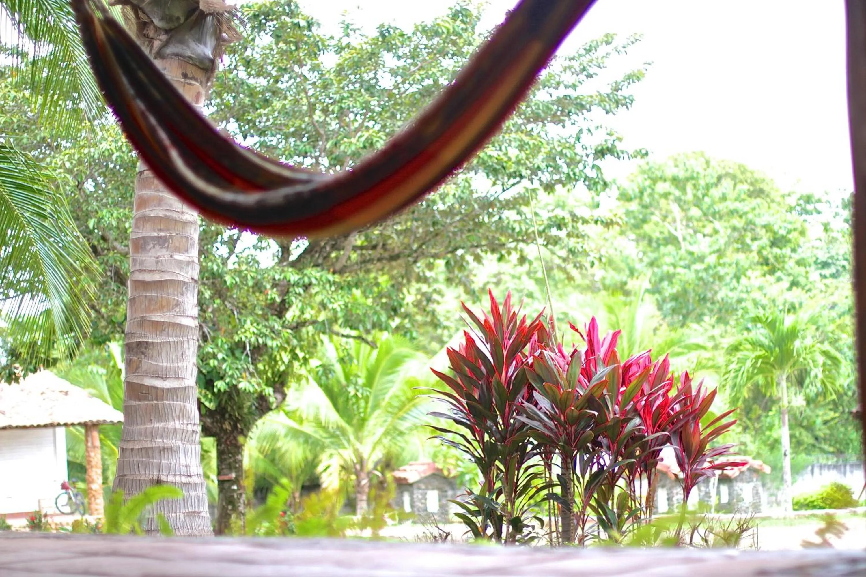 Garden in Hotel Santa Catalina Panamá