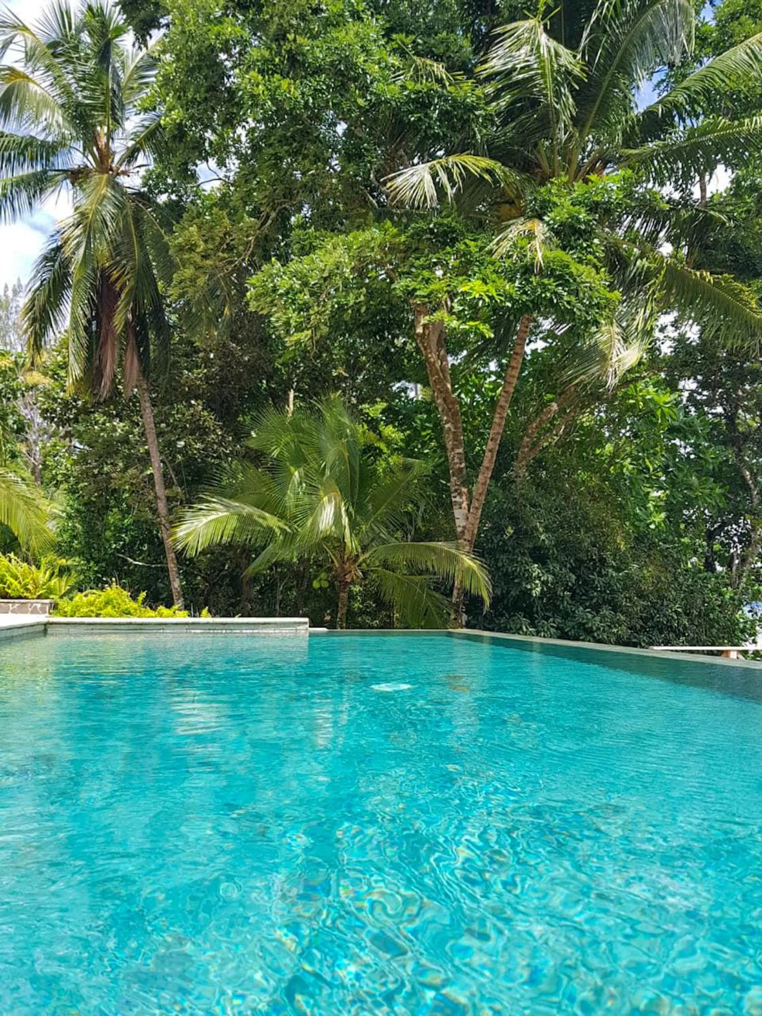 Swimming pool in Hotel Santa Catalina Panamá