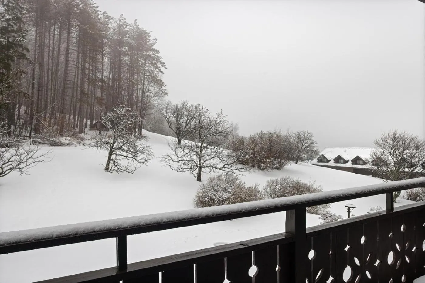 Balcony/Terrace in von Trapp Family Lodge & Resort
