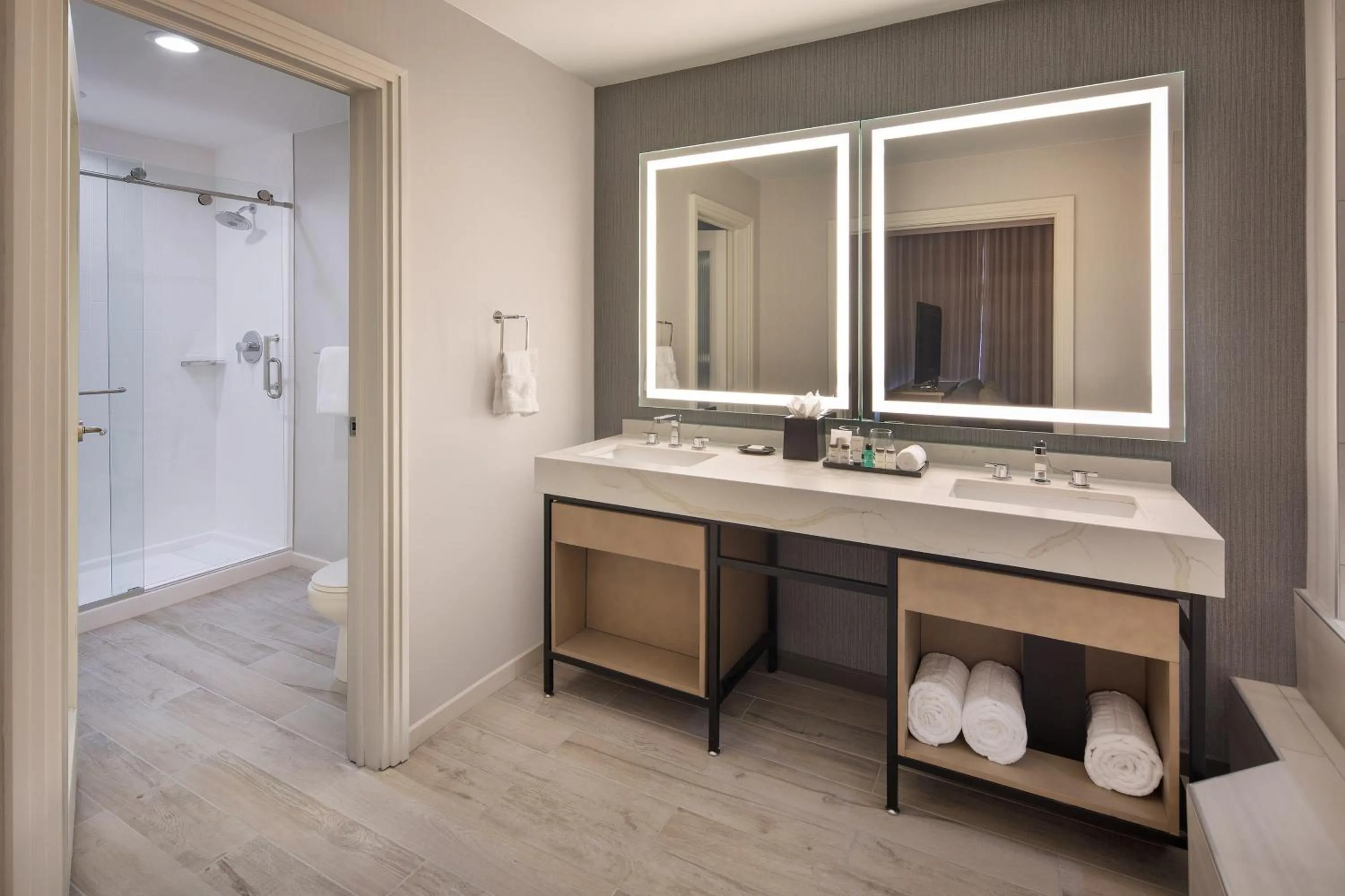 Bathroom in Sheraton Orlando North