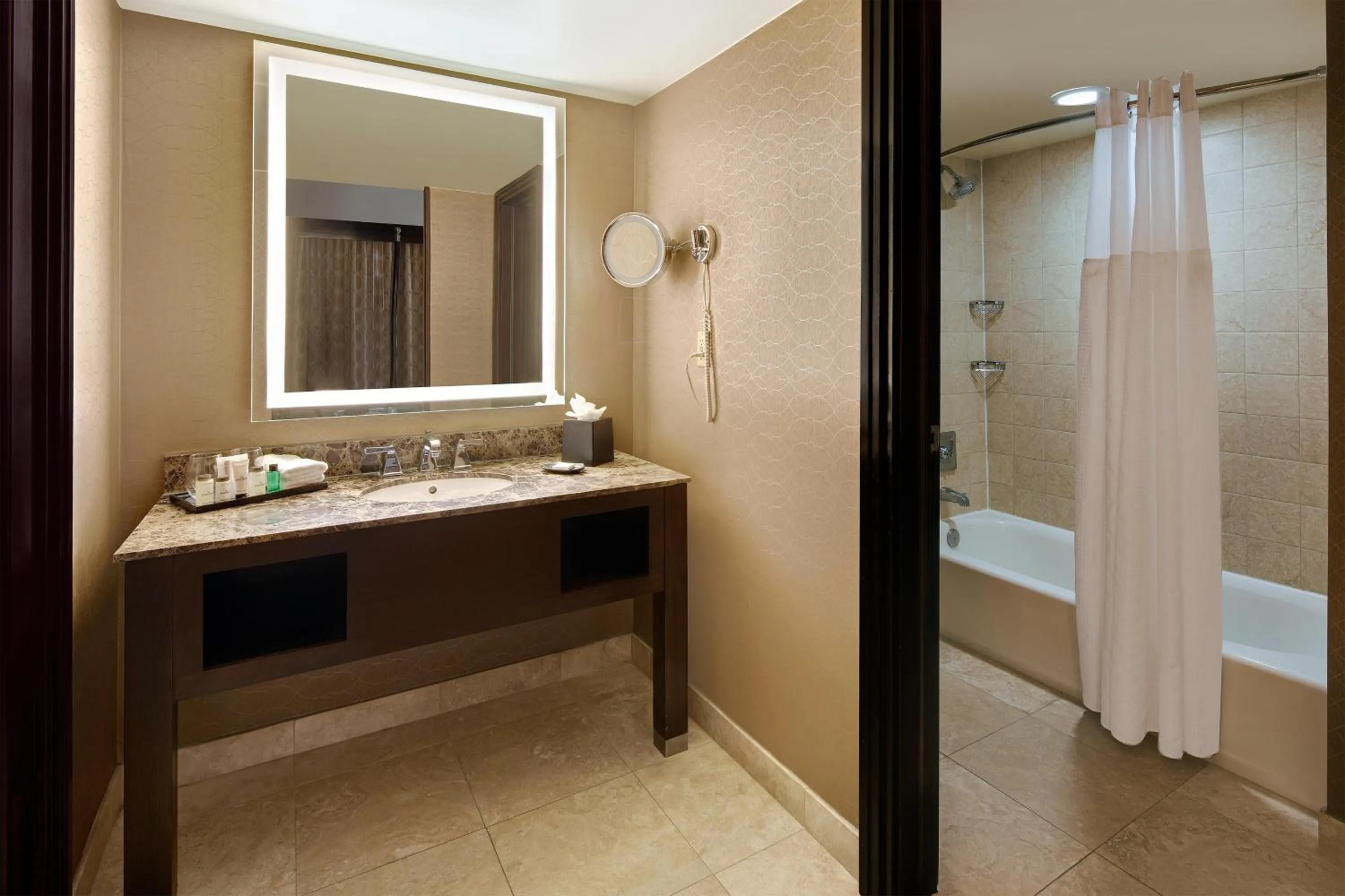 Bathroom in Sheraton Orlando North