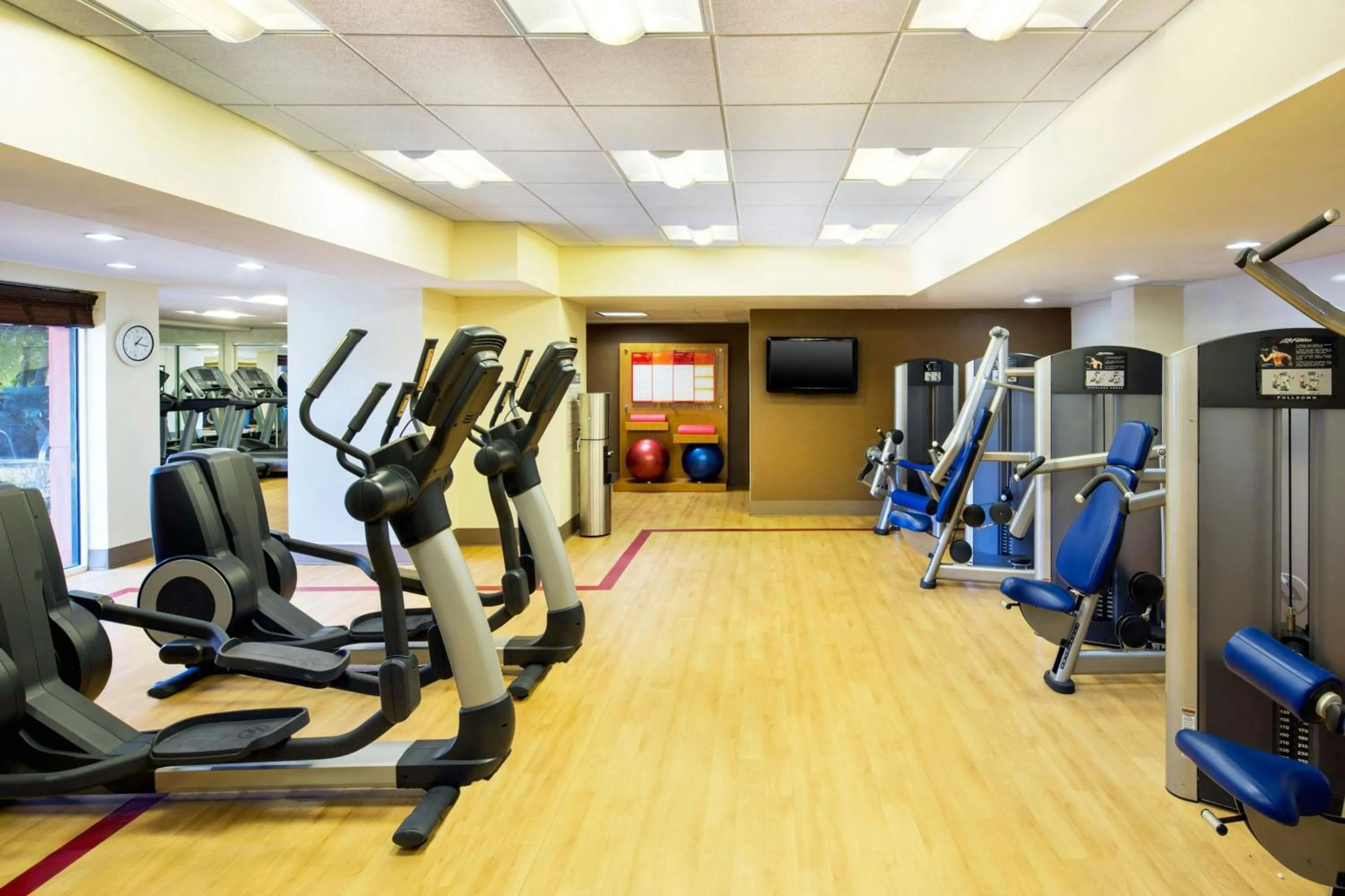 Fitness centre/facilities in Sheraton Orlando North
