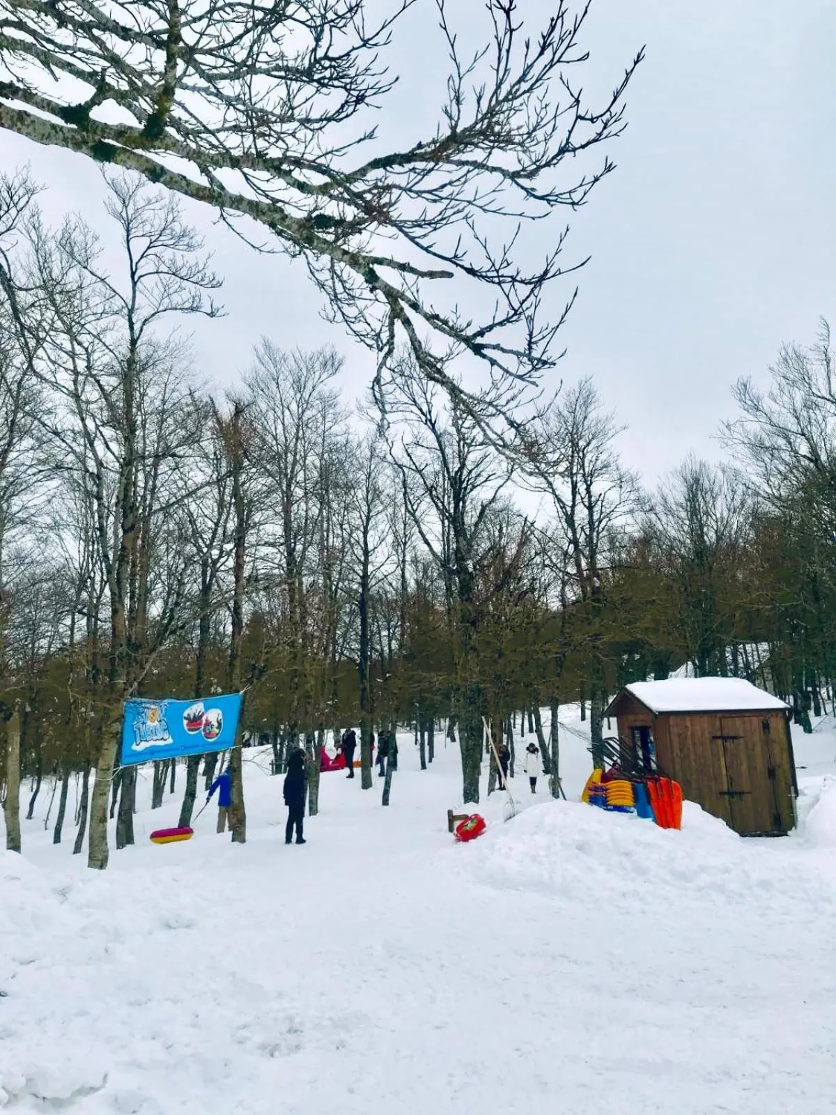 Ski School in Il Tomolo