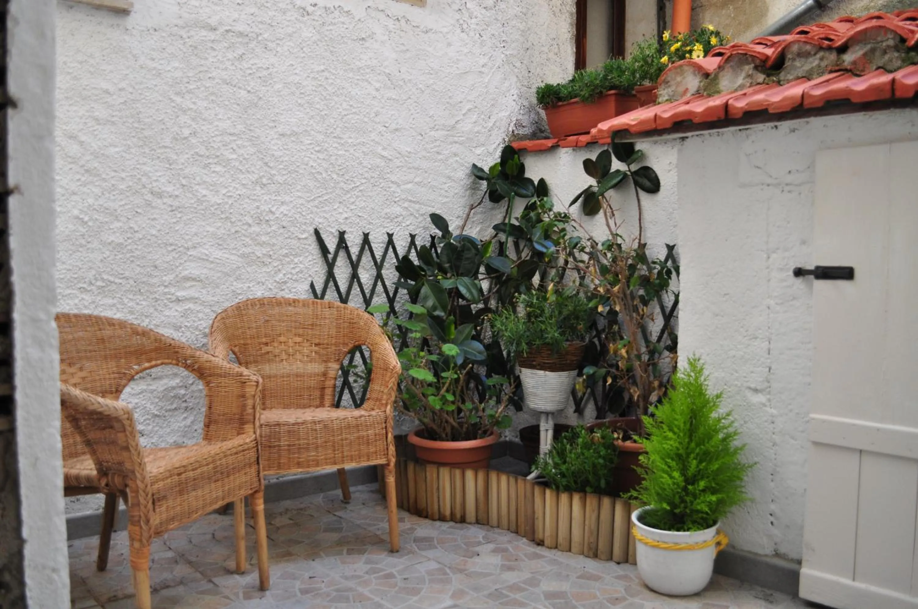 Garden in Il Tomolo