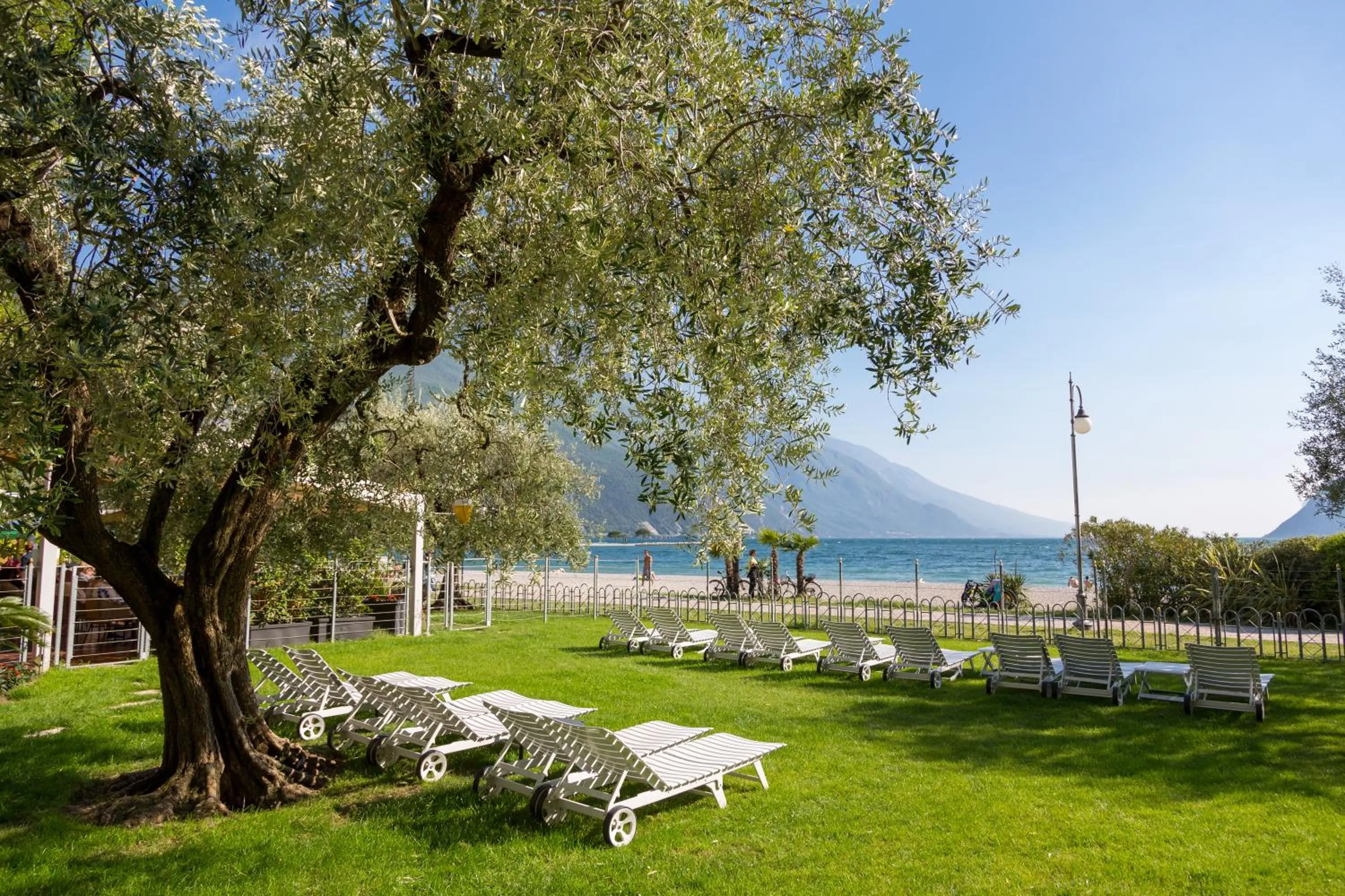 Garden in Hotel Baia Azzurra - Lake Front