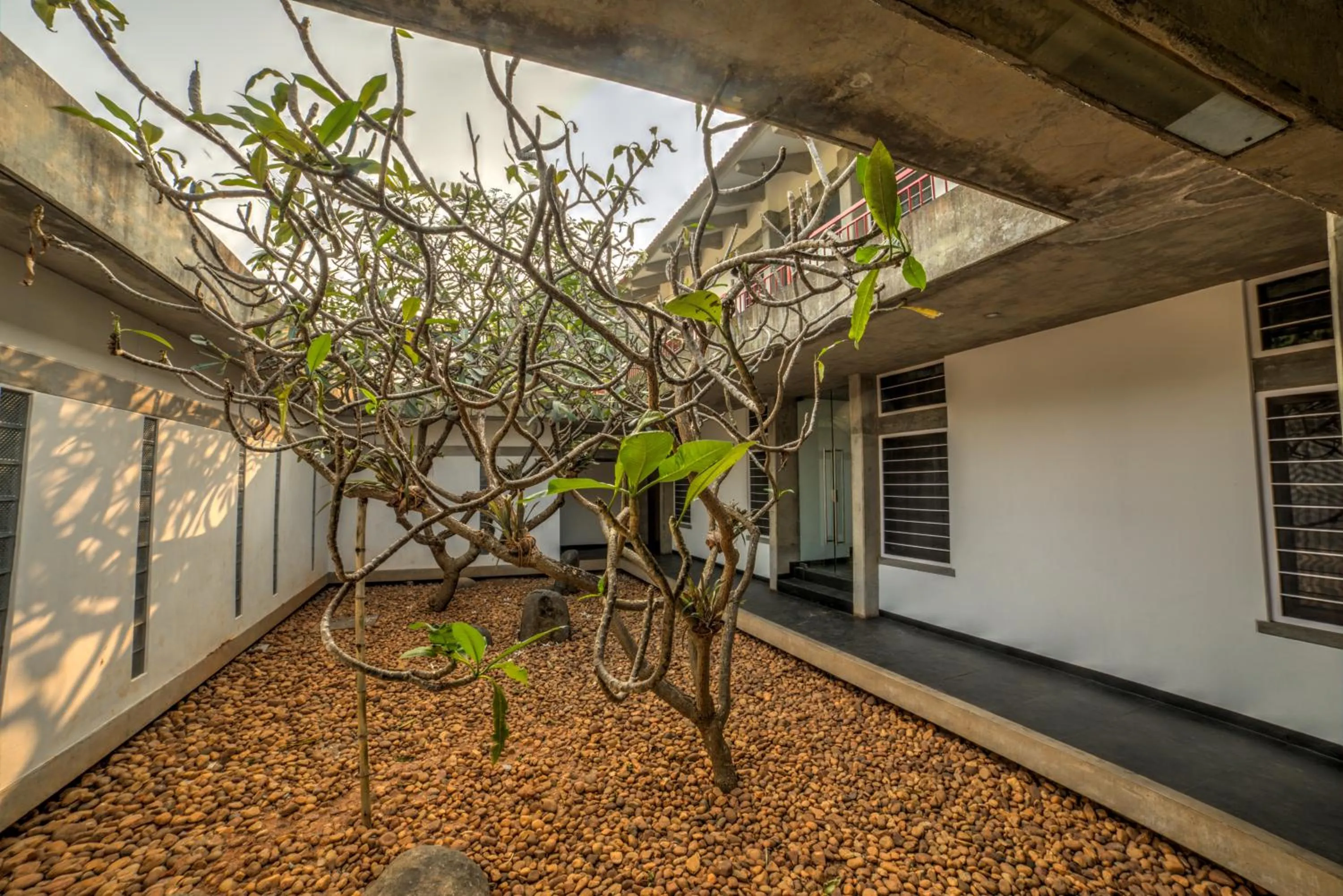 Garden in Sanctuary Amaidiyana - A CGH Earth Experience