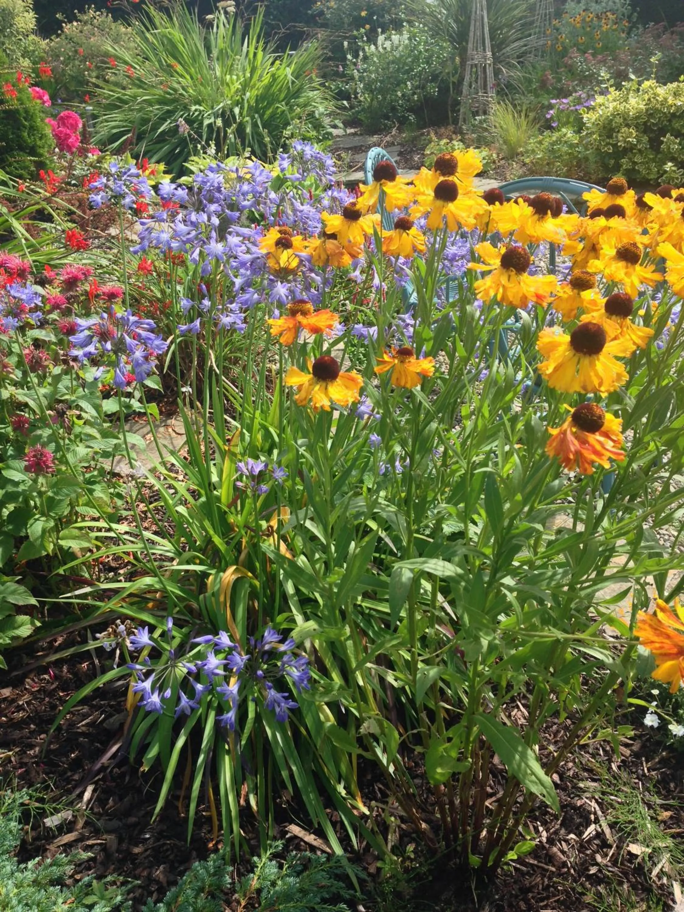 Garden view in Apartments at Ballinsheen House & Gardens