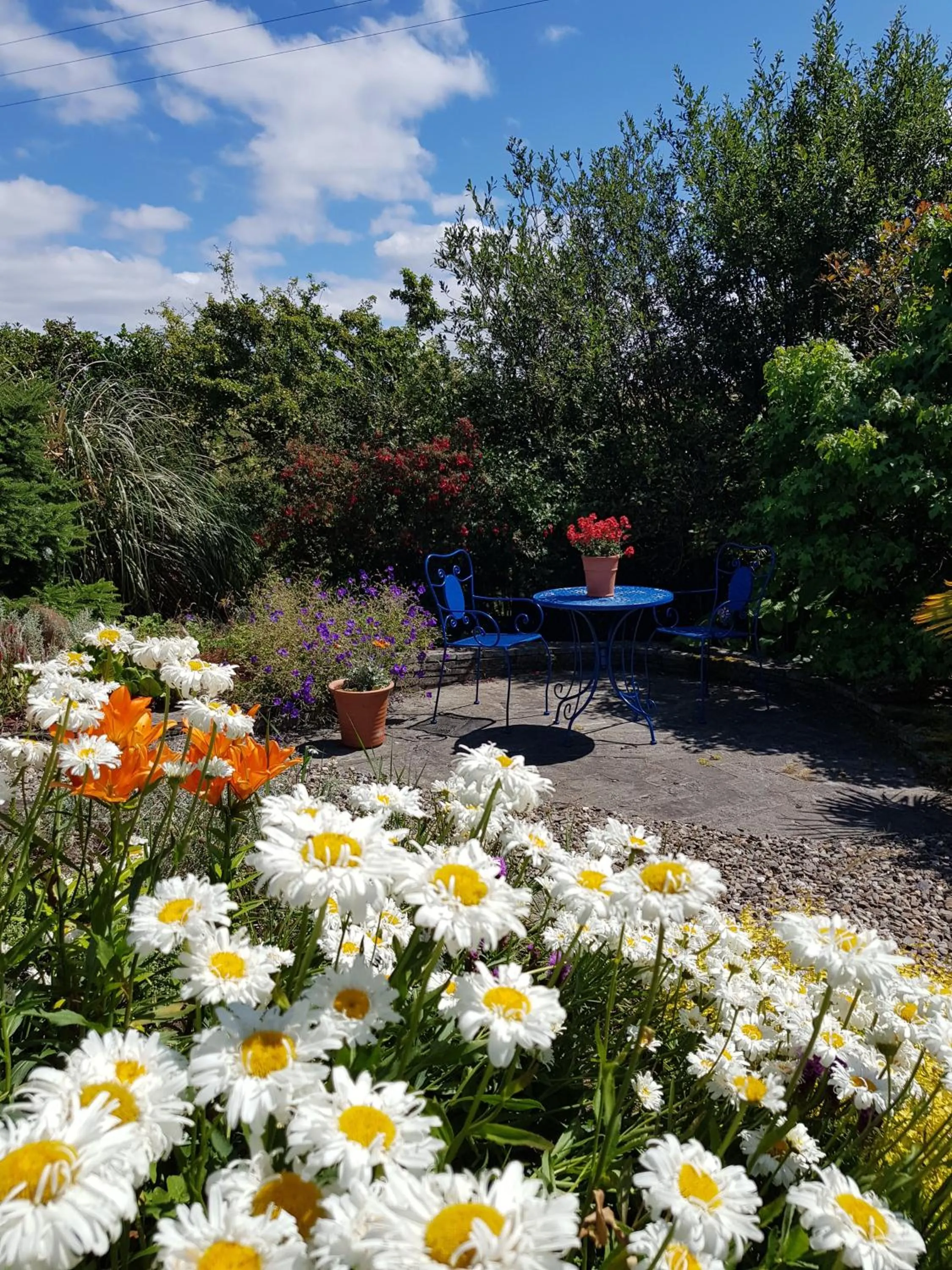 Garden in Apartments at Ballinsheen House & Gardens