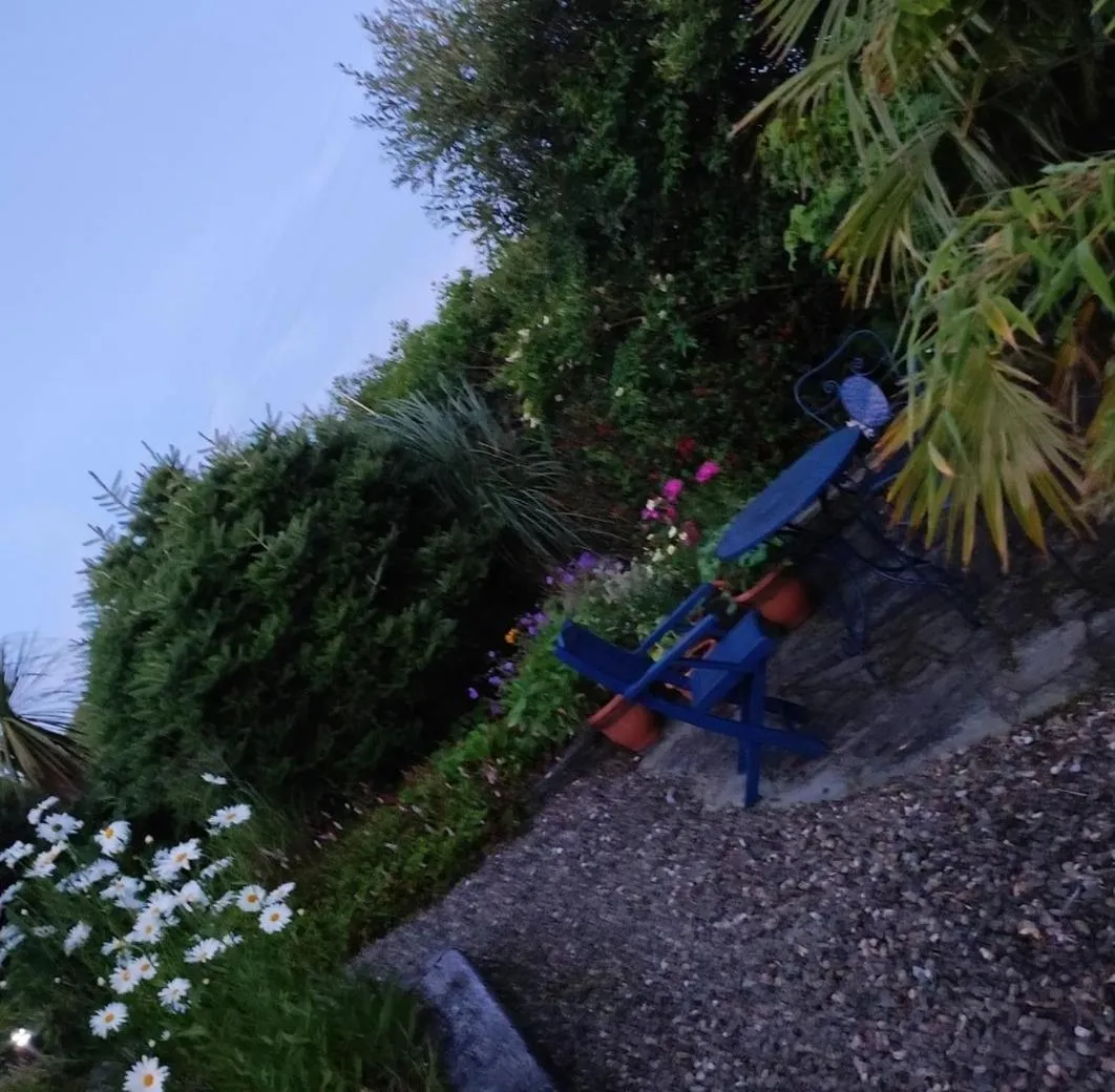 Garden view in Apartments at Ballinsheen House & Gardens
