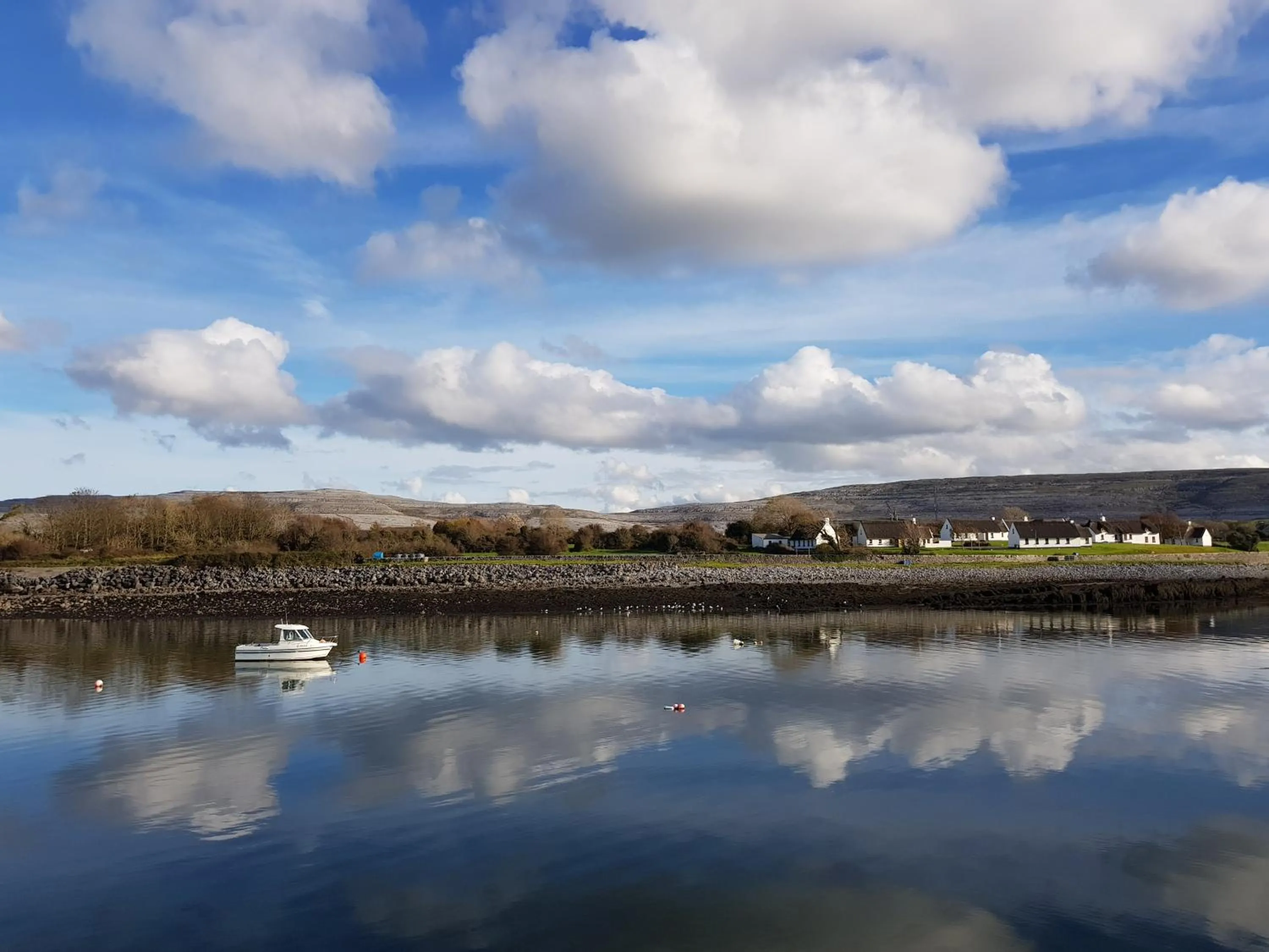 Natural landscape in Apartments at Ballinsheen House & Gardens