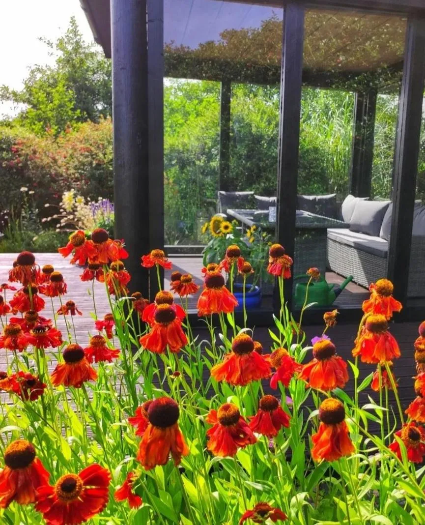 Garden view in Apartments at Ballinsheen House & Gardens