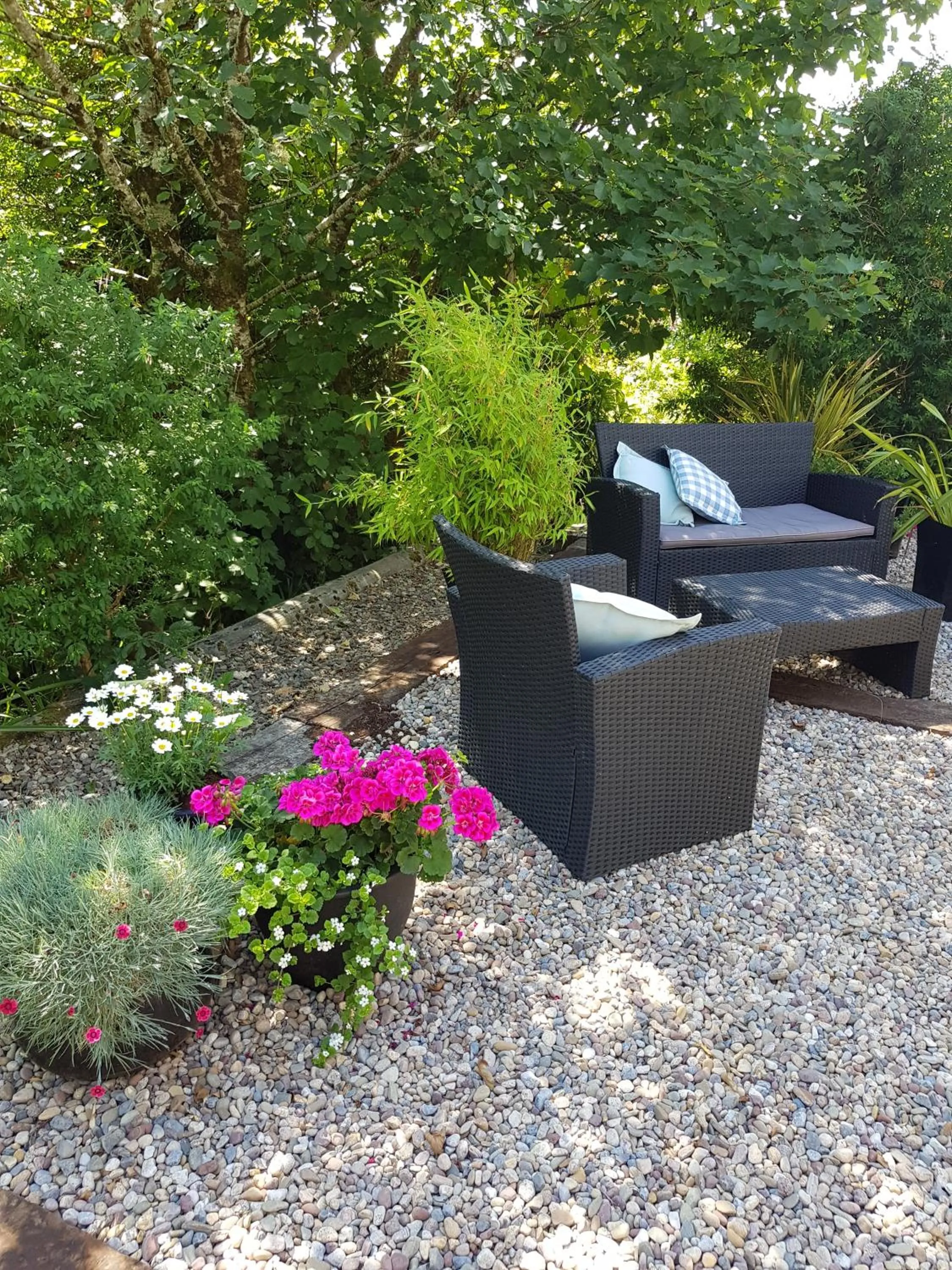 Garden view in Apartments at Ballinsheen House & Gardens