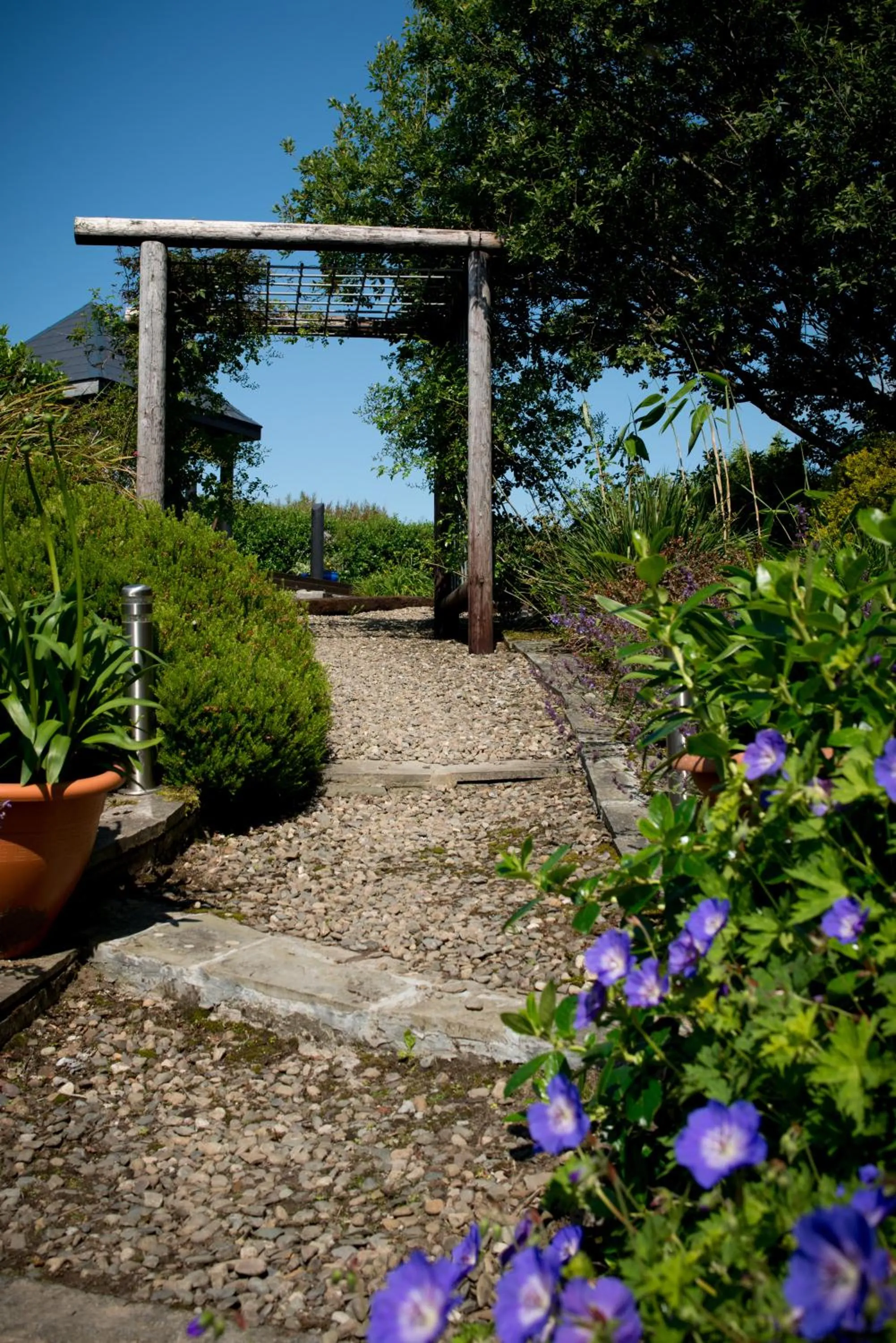 Garden in Apartments at Ballinsheen House & Gardens