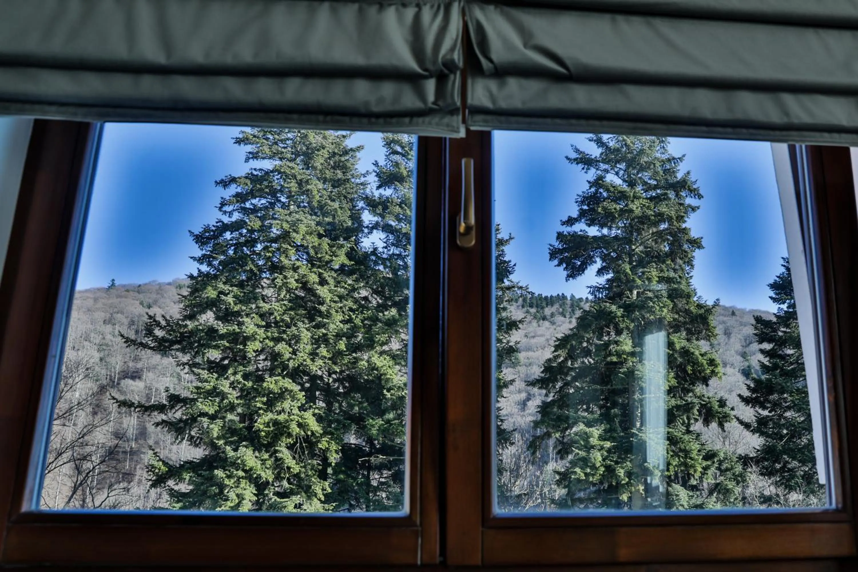 Mountain view in Expecto Apartments