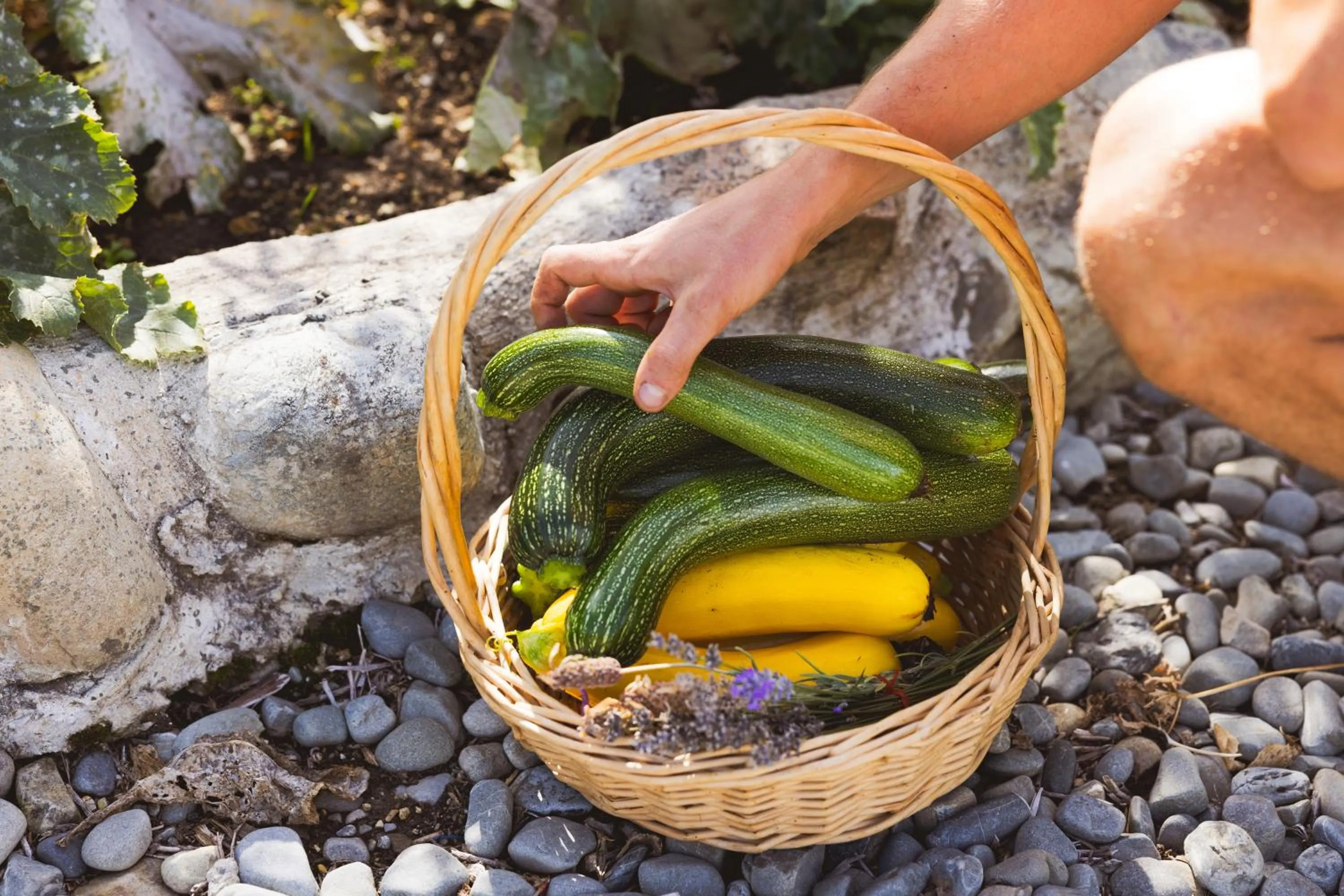 Food and drinks in Mt Cook Lakeside Retreat
