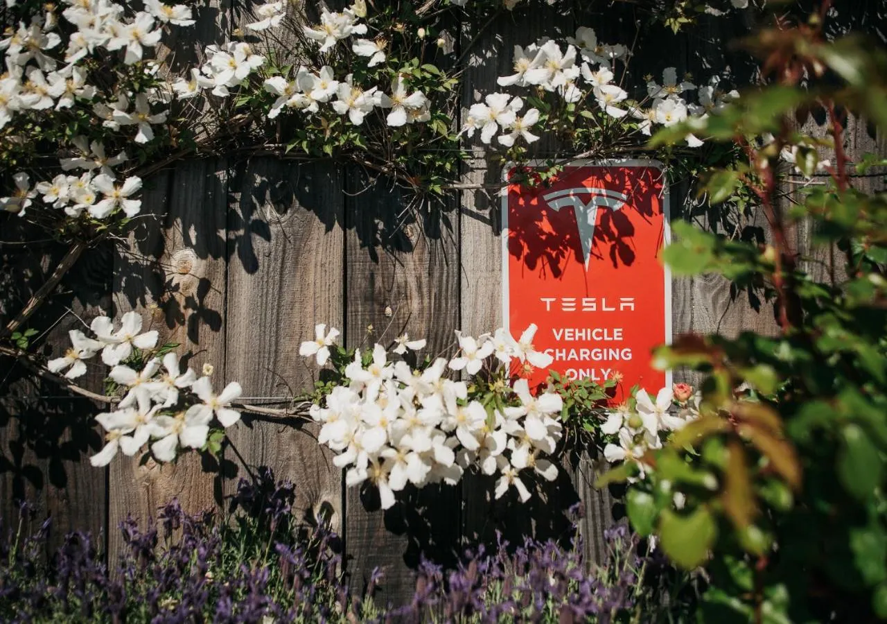 Garden in Mt Cook Lakeside Retreat