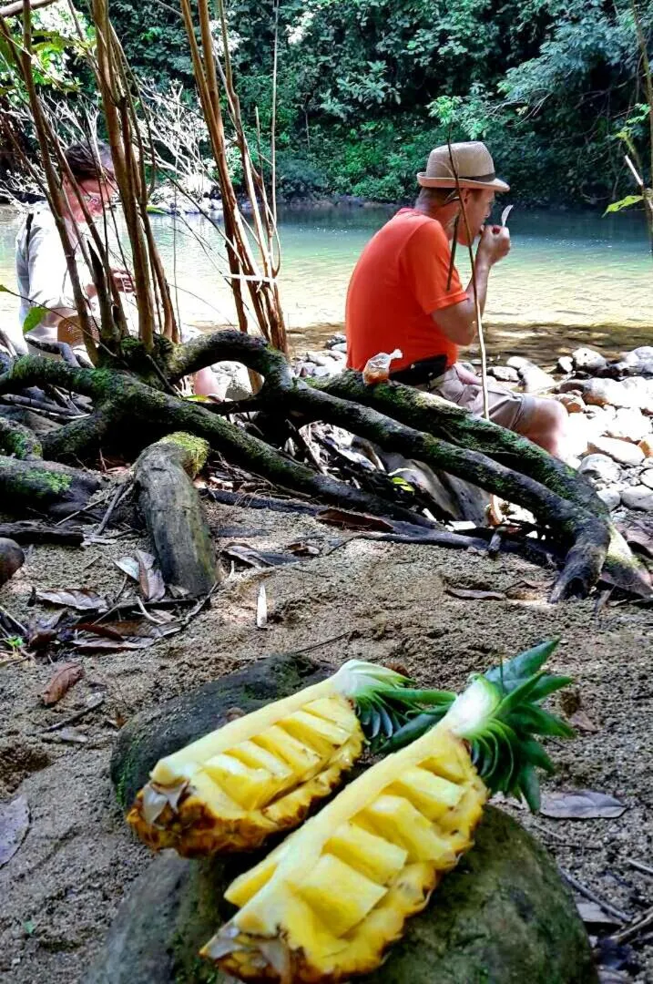 Hiking in Khao Sok River Lodge Hotel