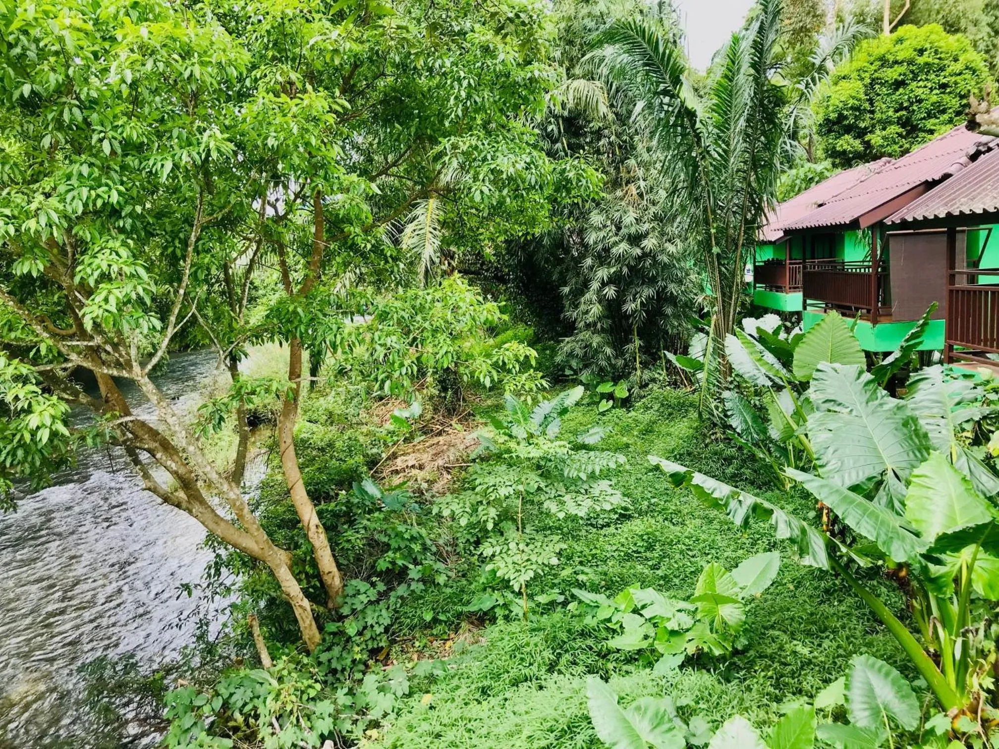 Property building in Khao Sok River Lodge Hotel