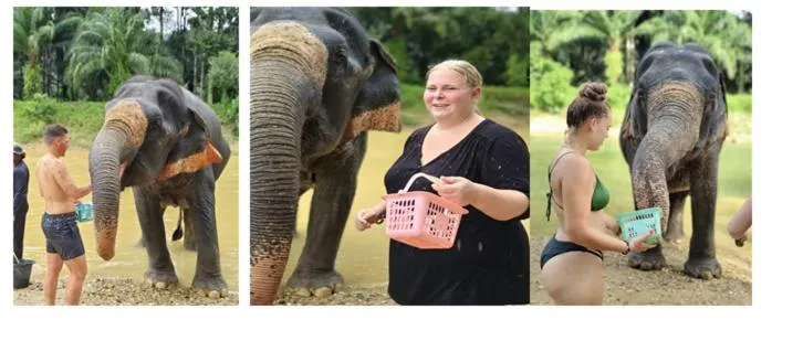 Khao Sok River Lodge Hotel