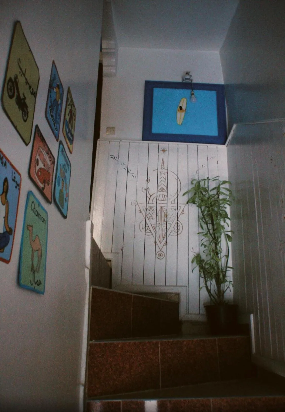 TV and multimedia in Onda Surf