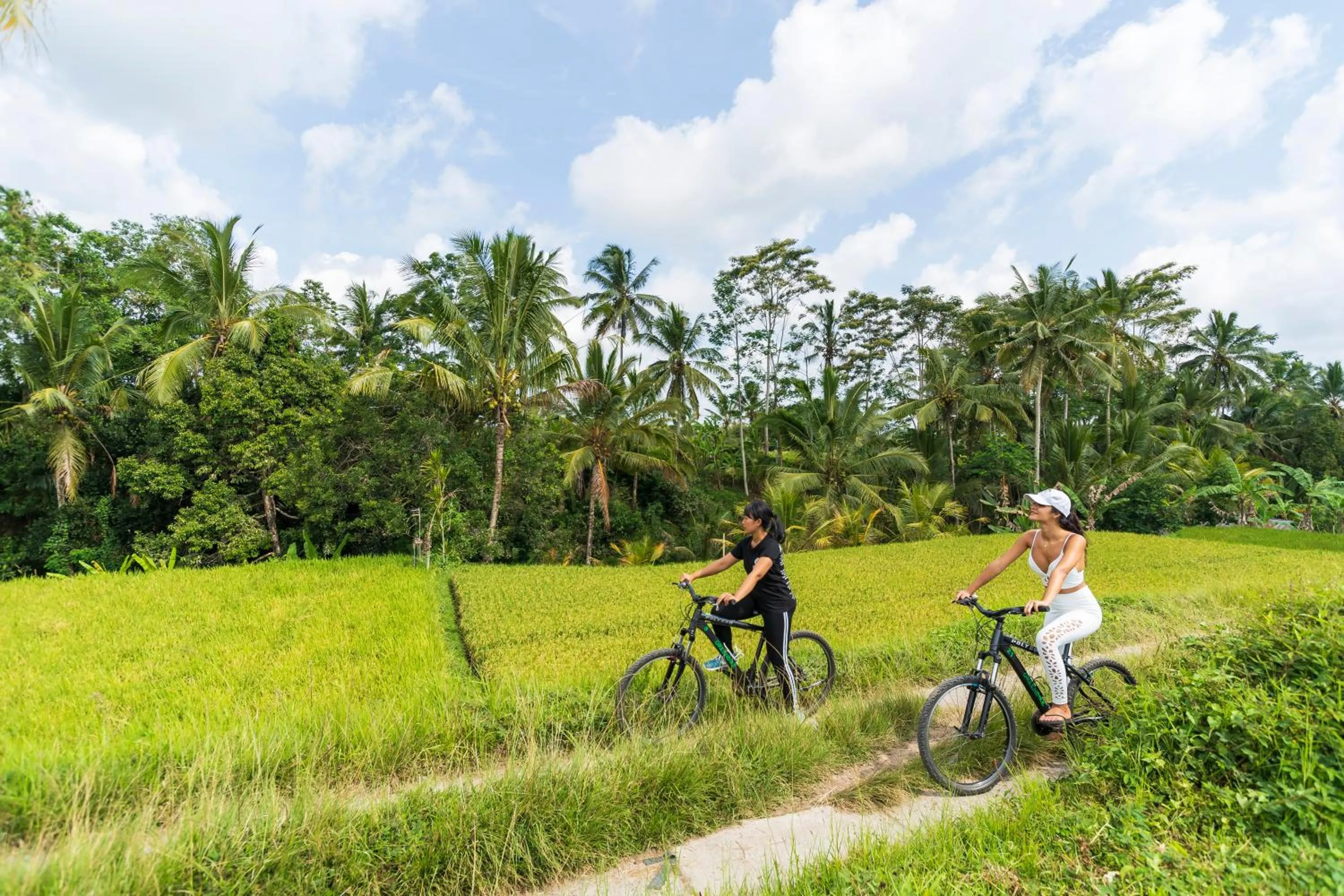 Activities in Puri Gangga Resort Ubud