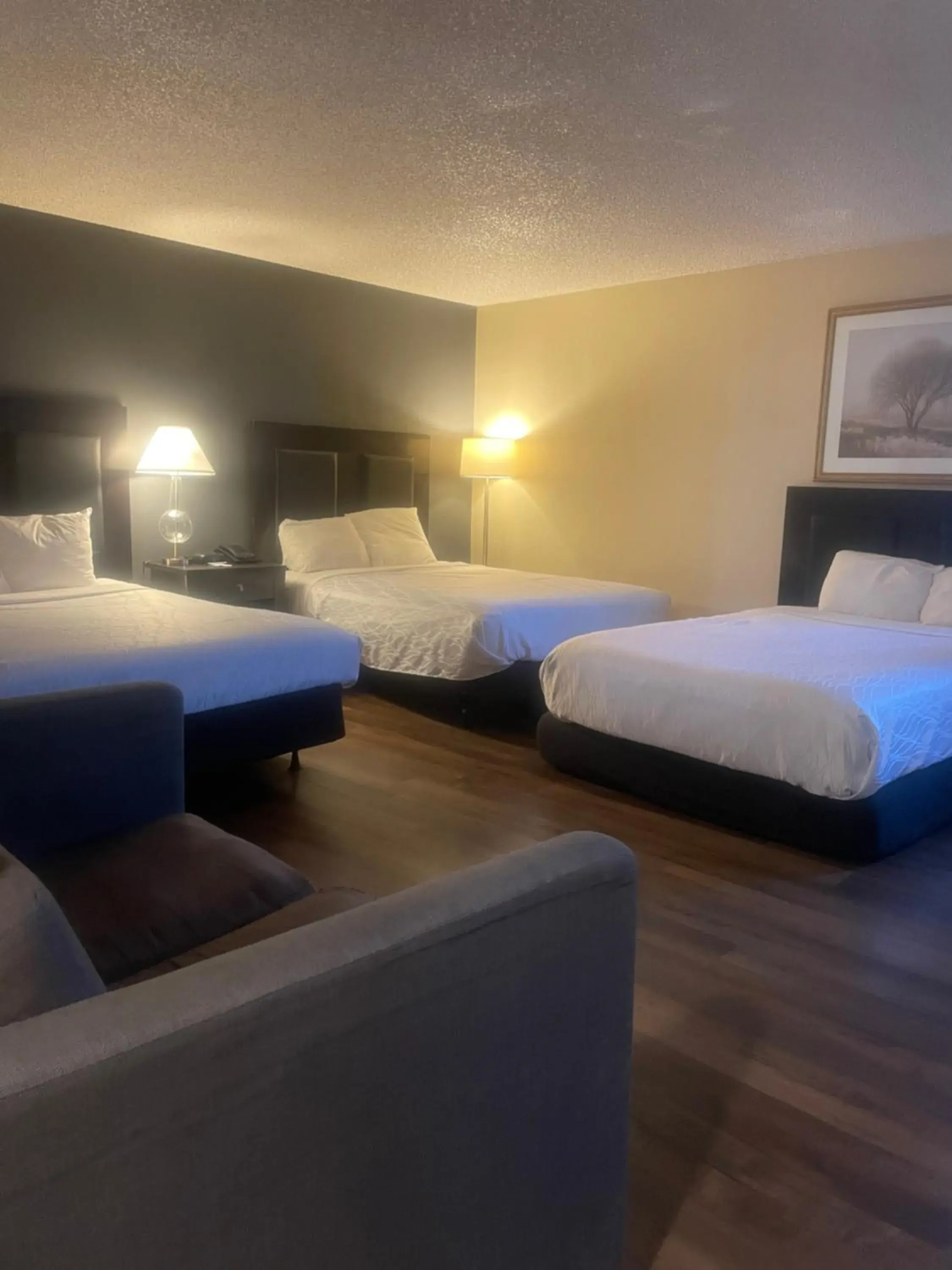 Photo of the whole room, Bed in Sutter Inn Photo of the whole room, Bed in Sutter Inn